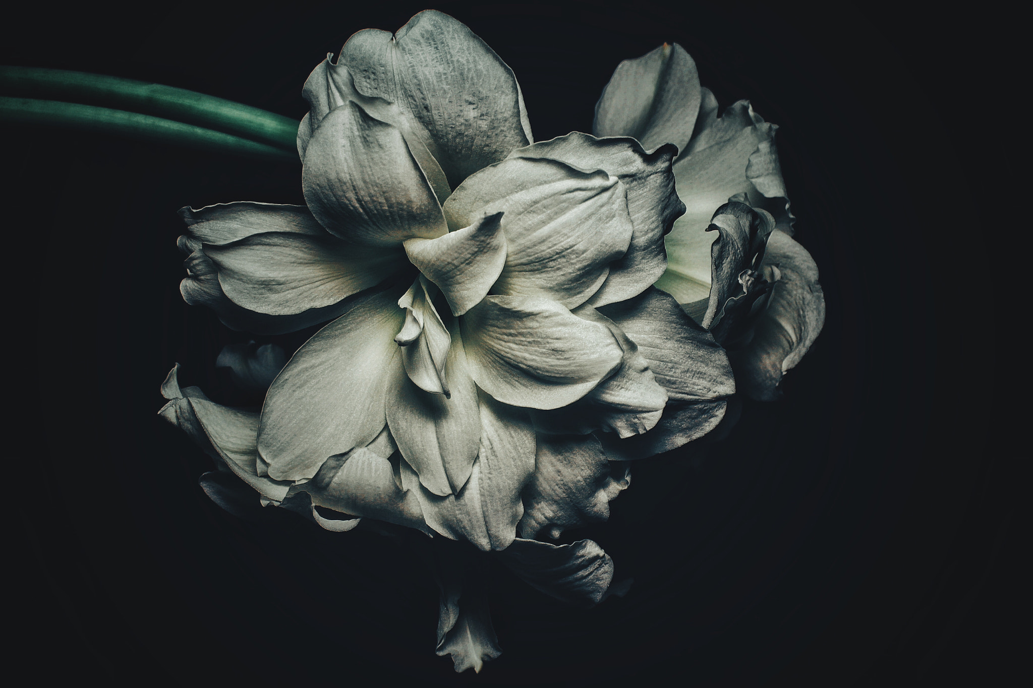 Canon EF 50mm F1.4 USM sample photo. No more "i love you's" photography