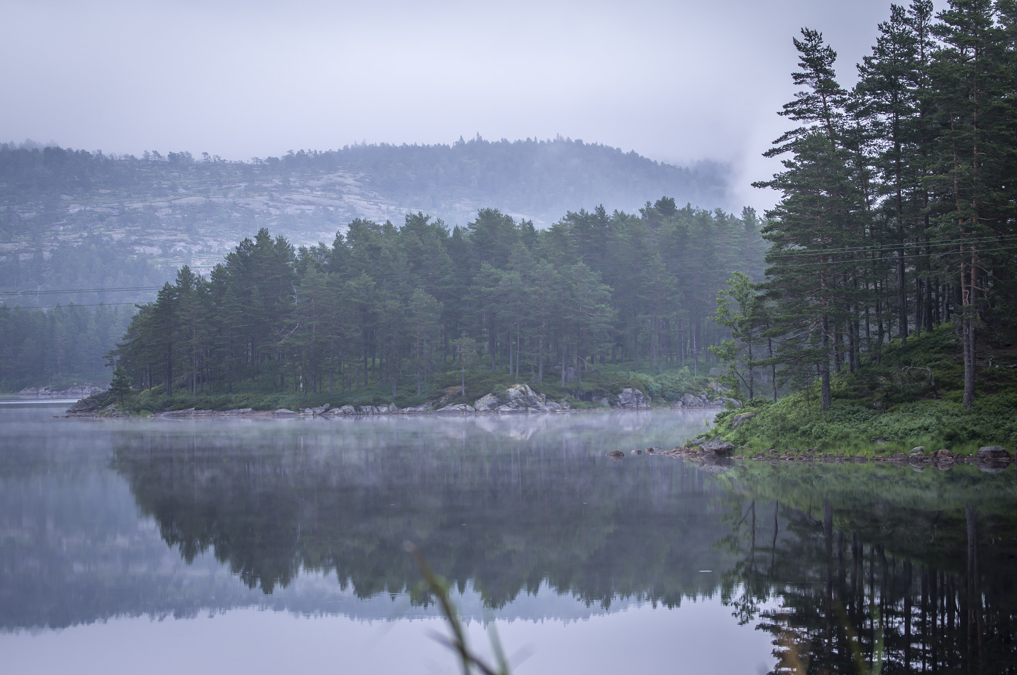 Sony SLT-A35 sample photo. Misty morning photography