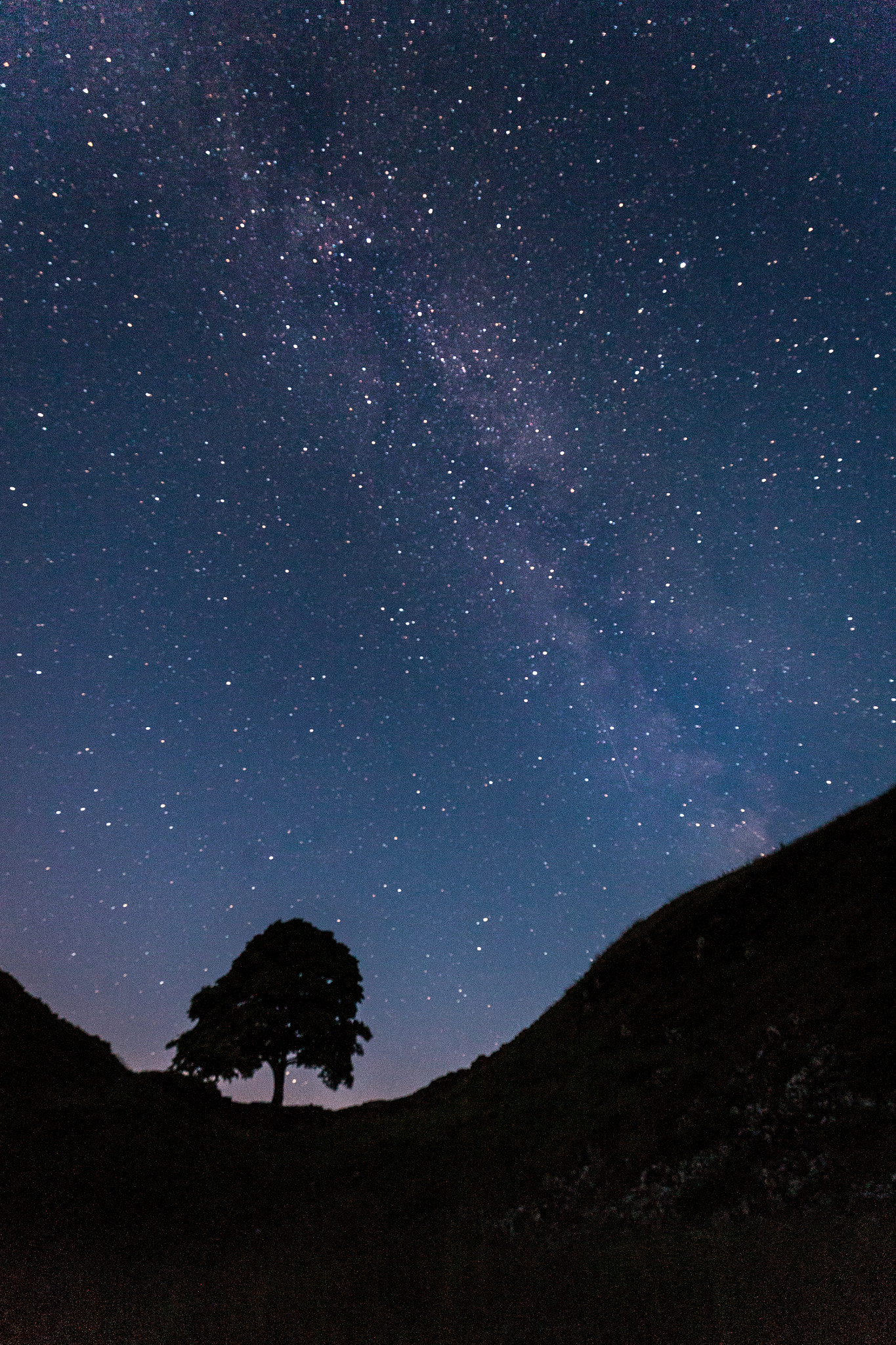 Canon EOS 5D + Canon EF 16-35mm F4L IS USM sample photo. Sycamore gap milkyway photography