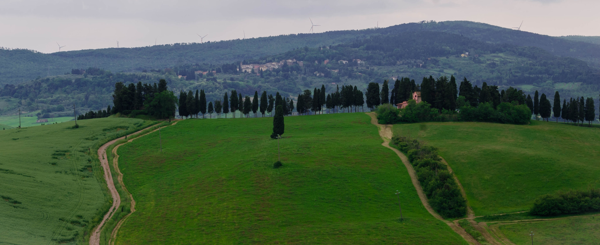 smc PENTAX-DA L 55-300mm F4-5.8 ED sample photo. Cipressi schierati photography