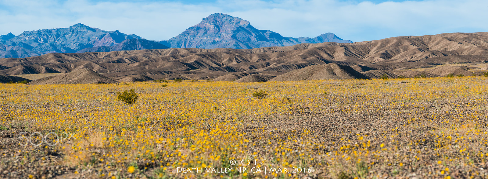 Nikon D700 + Nikon AF-S Nikkor 300mm F4D ED-IF sample photo. Death valley superbloom photography