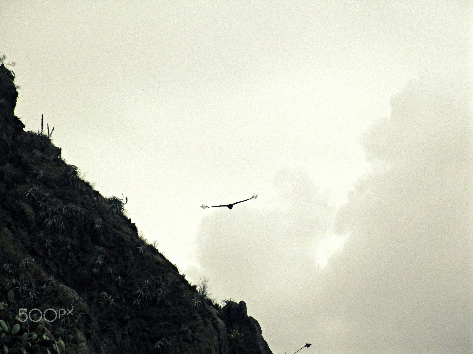 Canon PowerShot ELPH 150 IS (IXUS 155 / IXY 140) sample photo. Cañon del colca photography