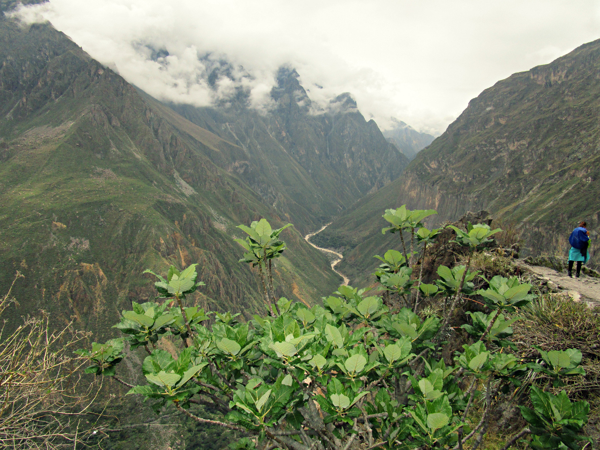 Canon PowerShot ELPH 150 IS (IXUS 155 / IXY 140) sample photo. Cañon del colca photography