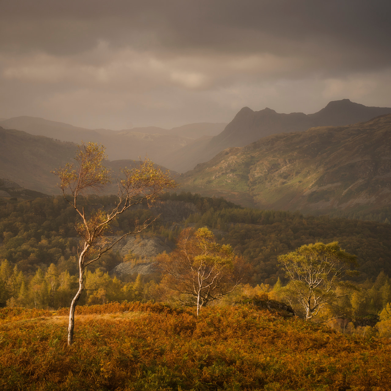 Nikon Df + AF Zoom-Nikkor 35-70mm f/2.8D sample photo. The pikes photography