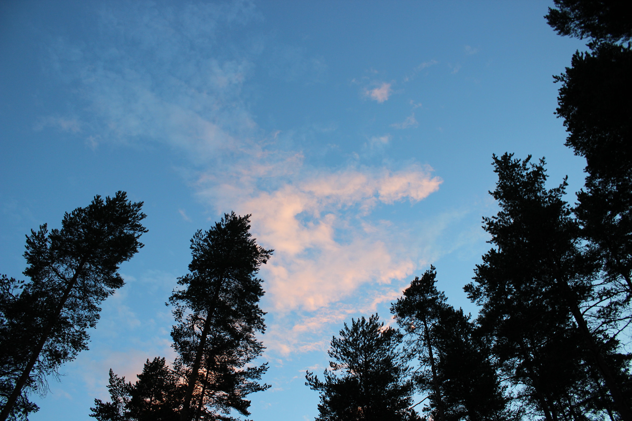 Canon EF 22-55mm f/4-5.6 USM sample photo. Vuokatti photography