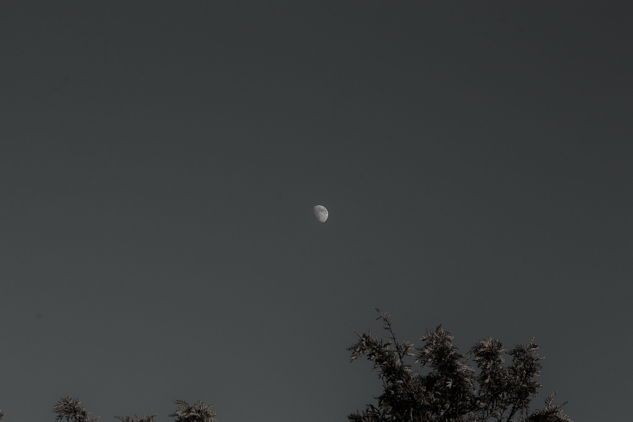 Sigma SD14 sample photo. The moon photography
