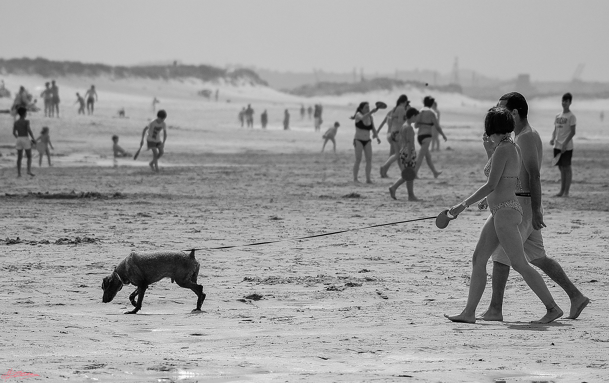 Tamron AF 200-400mm f/5.6 LD IF (75D) sample photo. A cierta distancia photography
