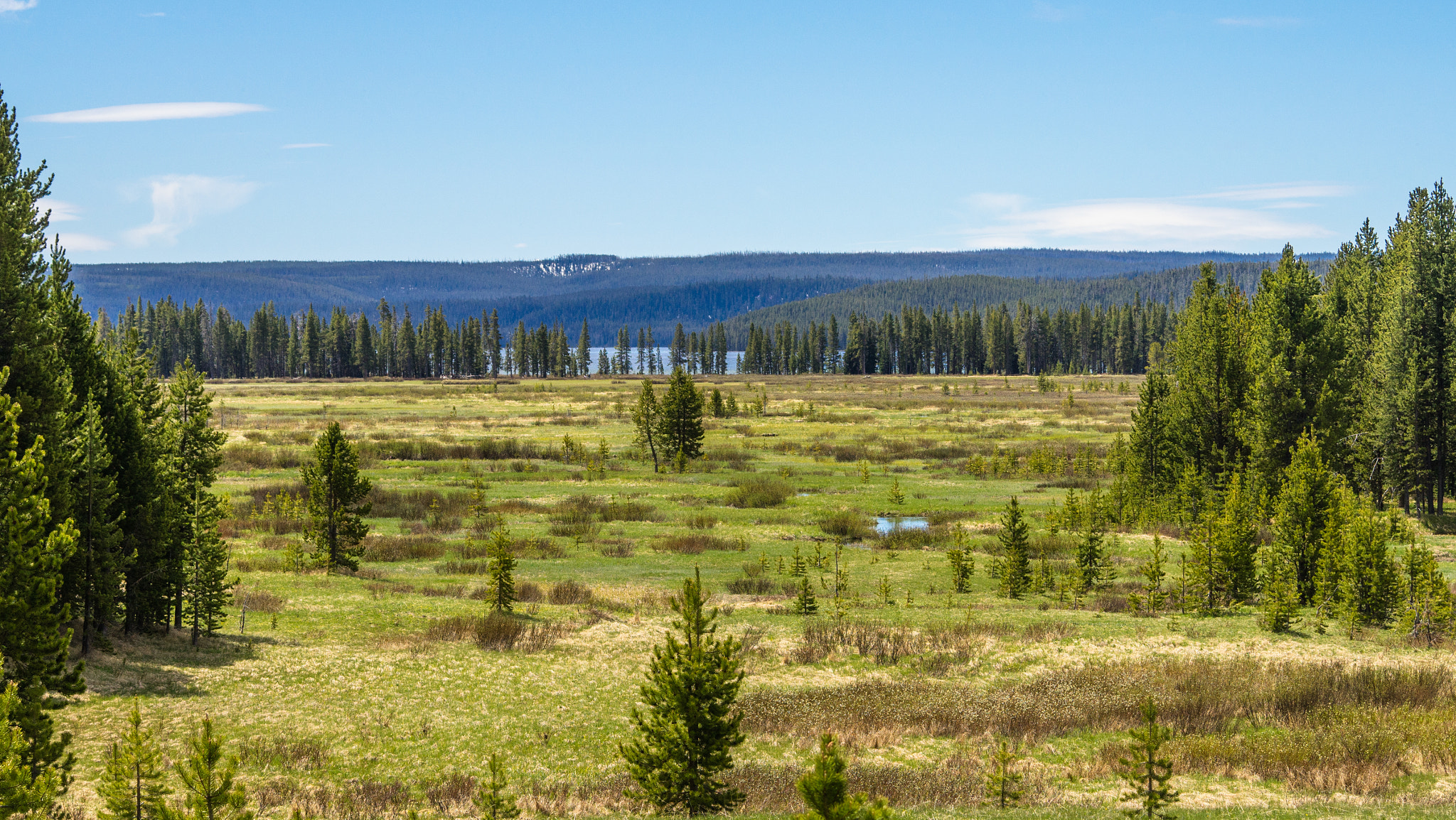 Sony a7R + Sony 70-400mm F4-5.6 G SSM II sample photo. Yellowstone photography