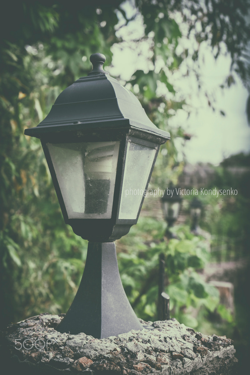 Canon EOS 1000D (EOS Digital Rebel XS / EOS Kiss F) + Canon EF-S 17-55mm F2.8 IS USM sample photo. Old vintage street lamp lantern with green leaf tree. photography