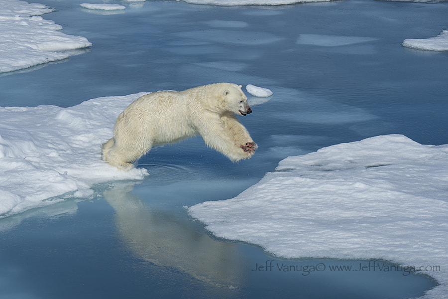 Nikon D4 sample photo. Freeze frame! photography