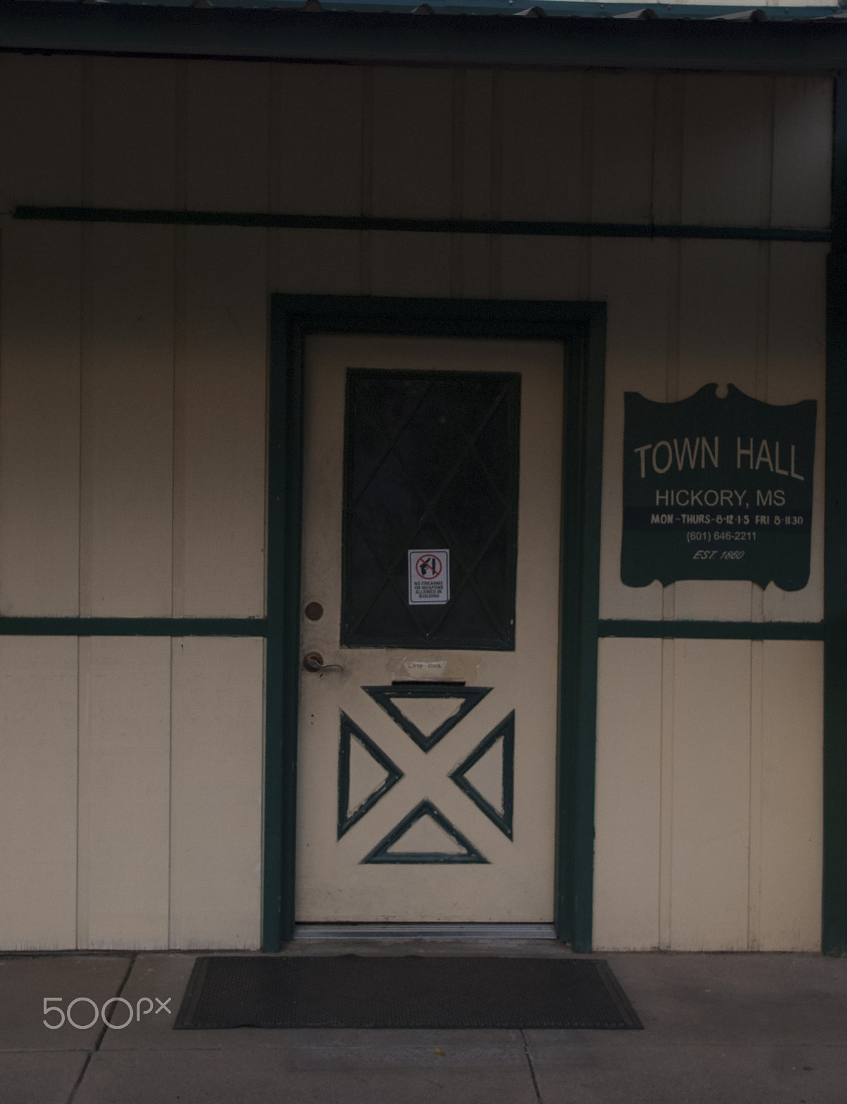 Nikon D40X sample photo. Town hall door photography