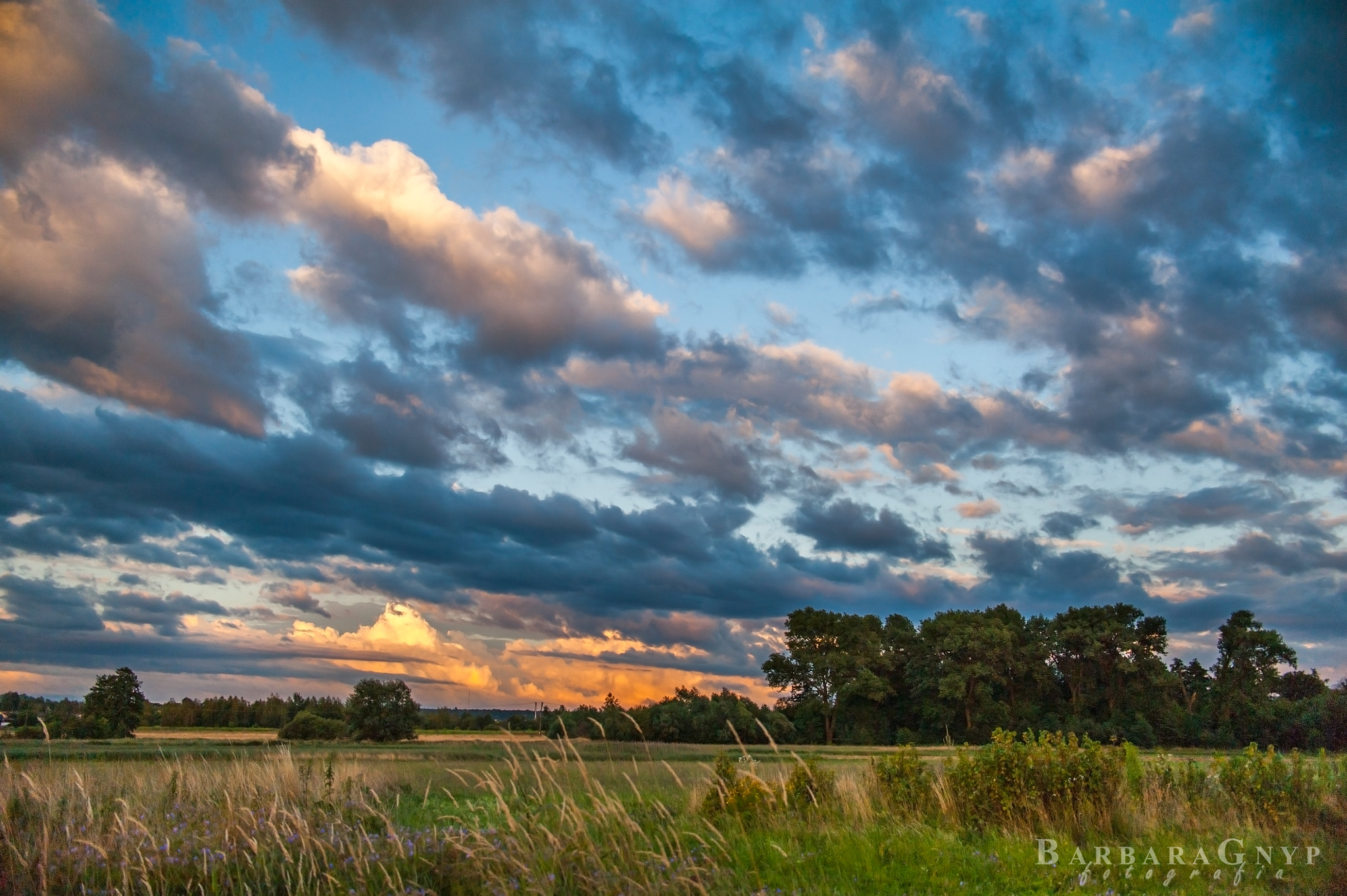Nikon D700 + Nikon AF-S DX Nikkor 35mm F1.8G sample photo. Sunset 14.07.2016 photography