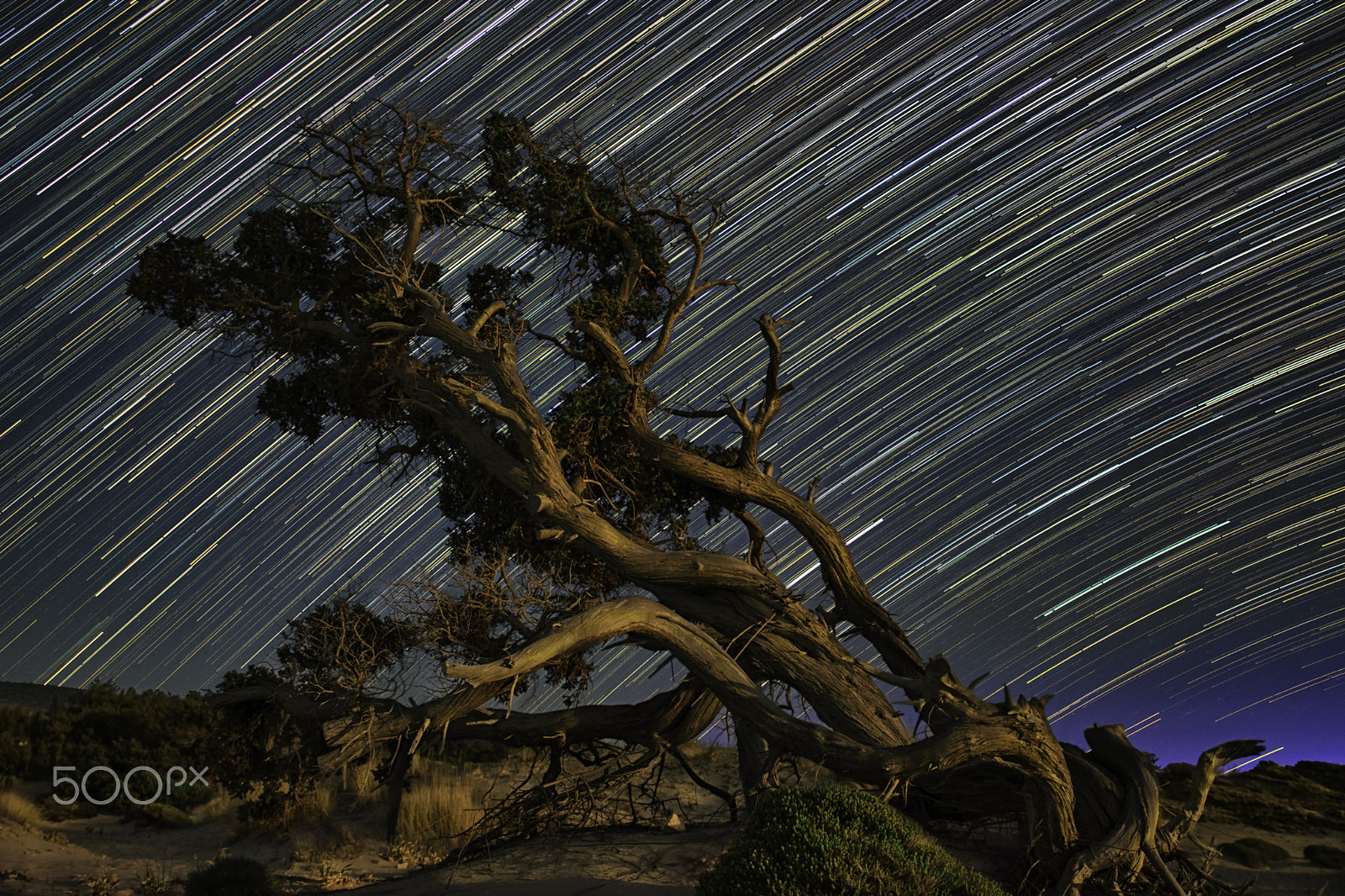 Nikon D5300 + Nikon AF-S Nikkor 20mm F1.8G ED sample photo. Beach dunes elafonissos photography