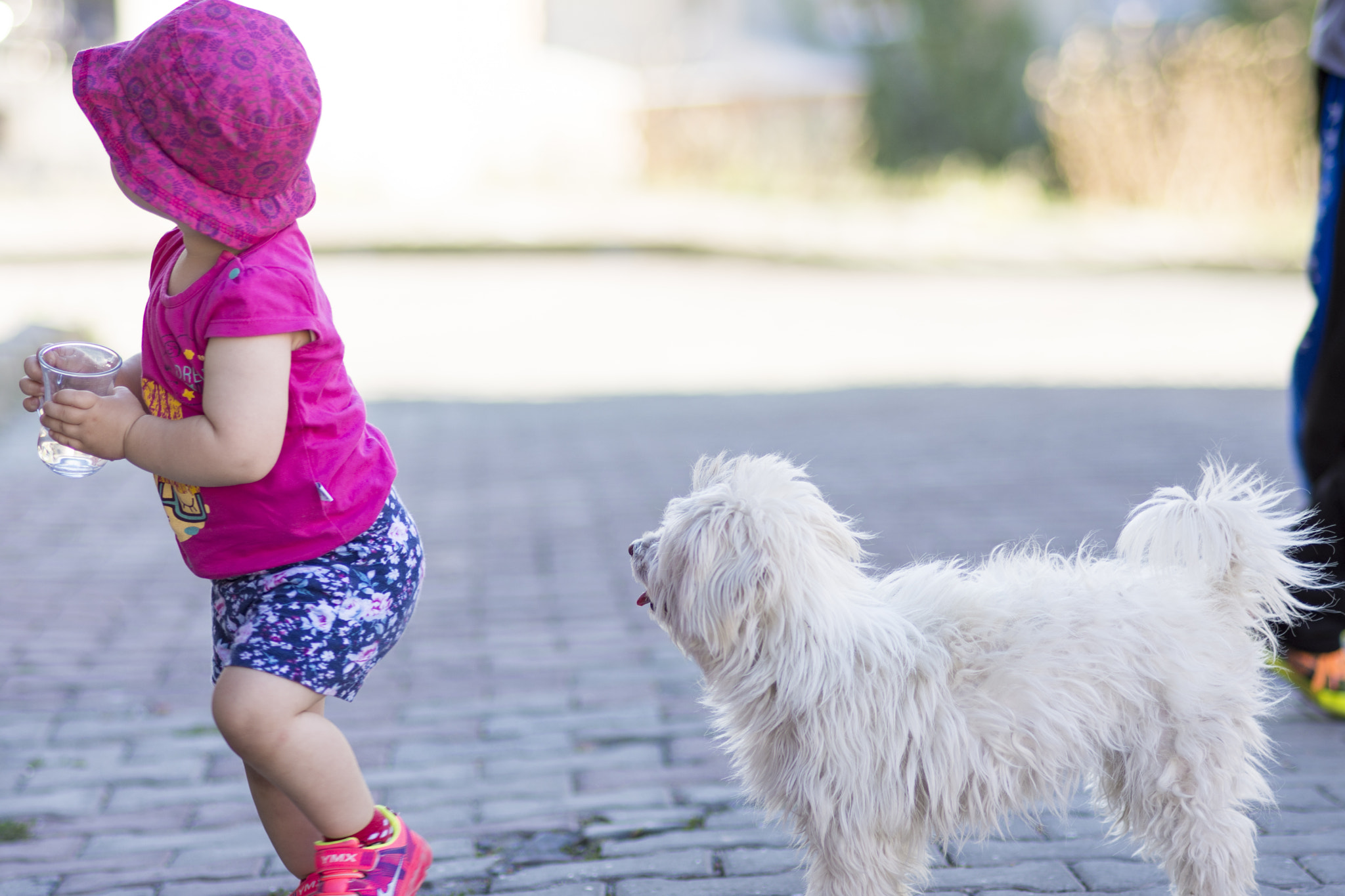 Nikon AF Nikkor 85mm F1.8D sample photo. Ceren & lucy :) photography