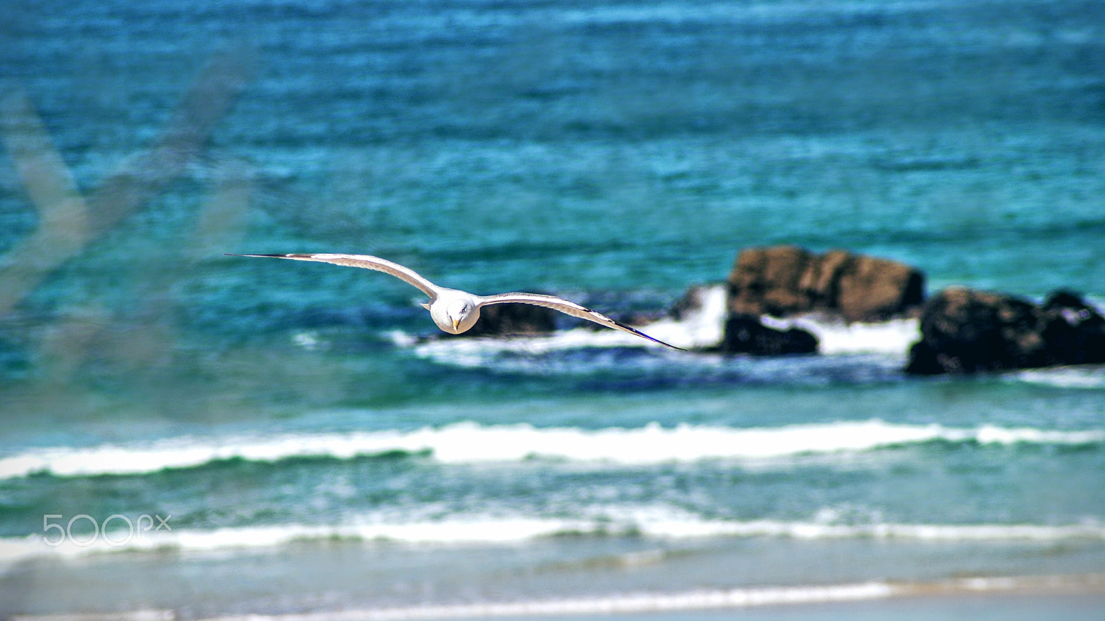 Sony Alpha DSLR-A200 + Tamron Lens (255) sample photo. Flight photography