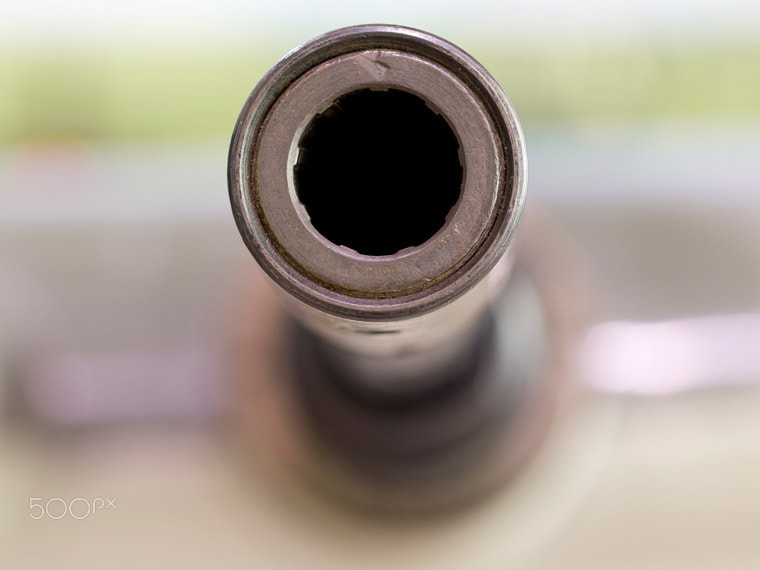 Olympus E-5 + OLYMPUS 50mm Lens sample photo. Gun photography