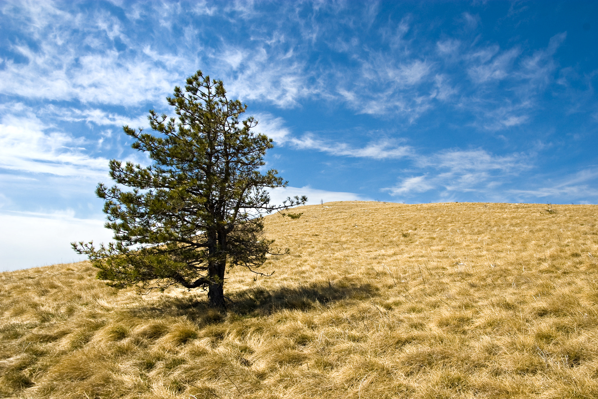 Pentax K100D + Sigma 18-50mm F3.5-5.6 DC sample photo. Zbevnica meadow photography