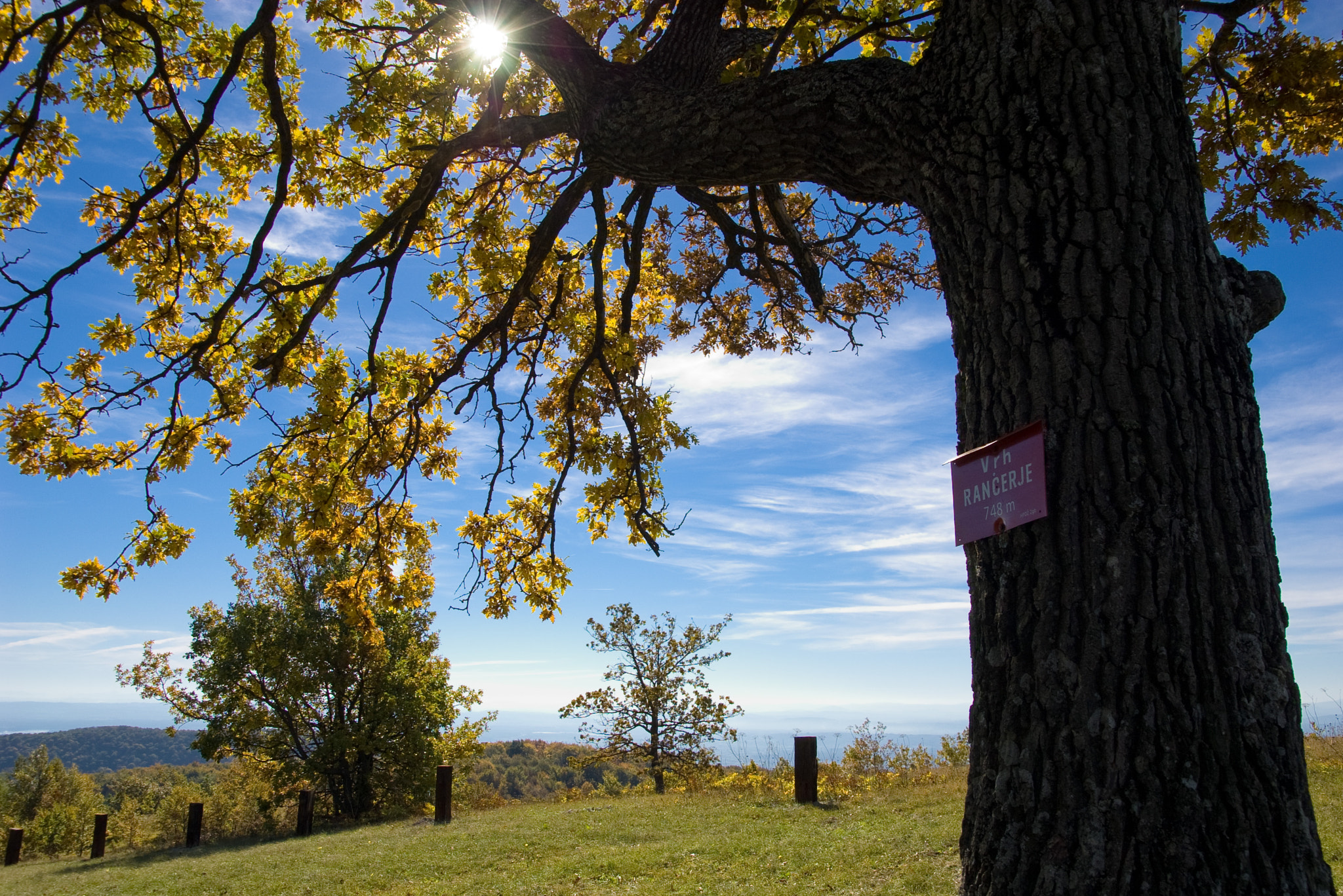 Pentax K100D sample photo. Sunny autumn day photography