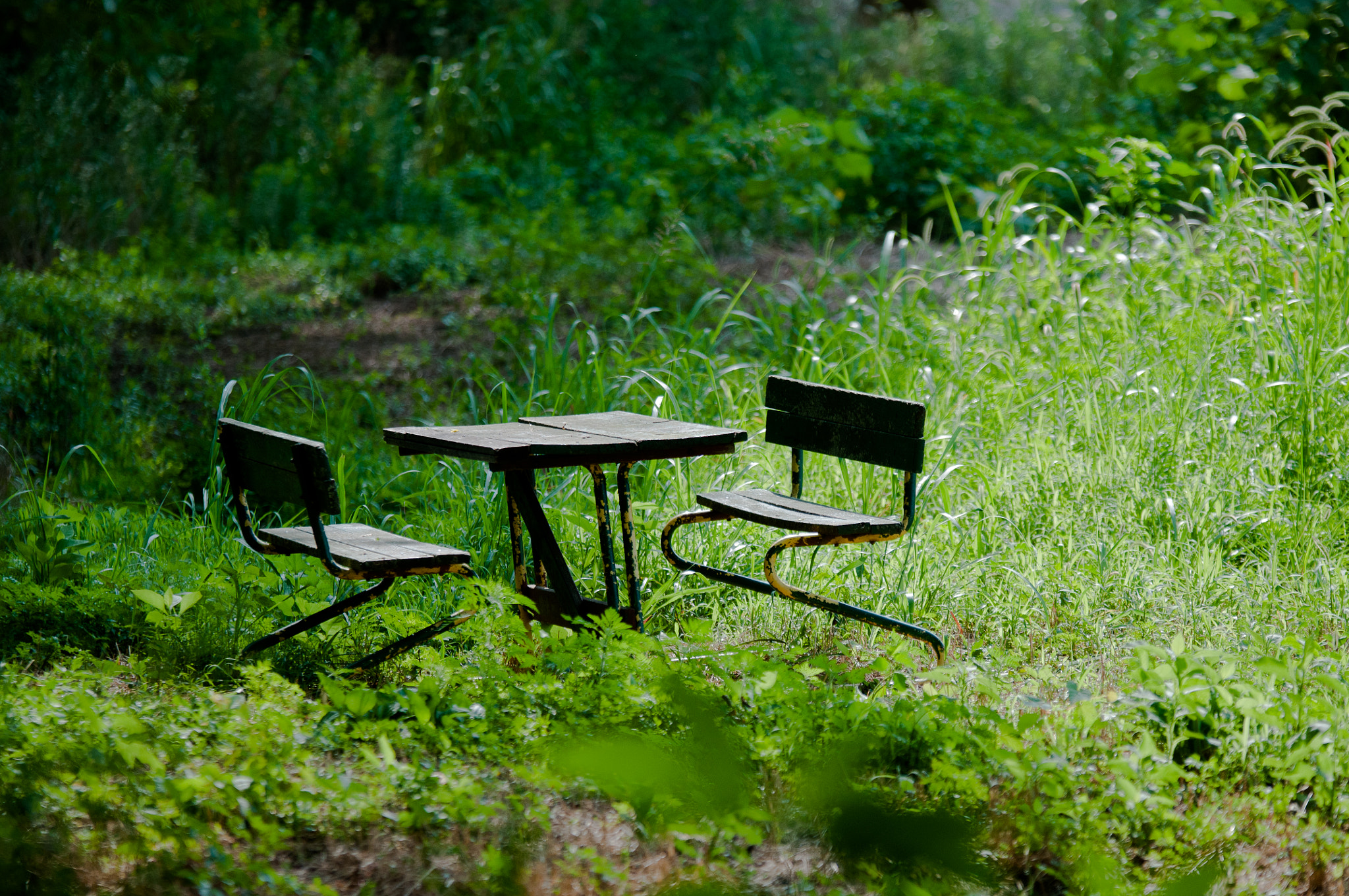Sigma 70-200mm F2.8 EX DG OS HSM sample photo
