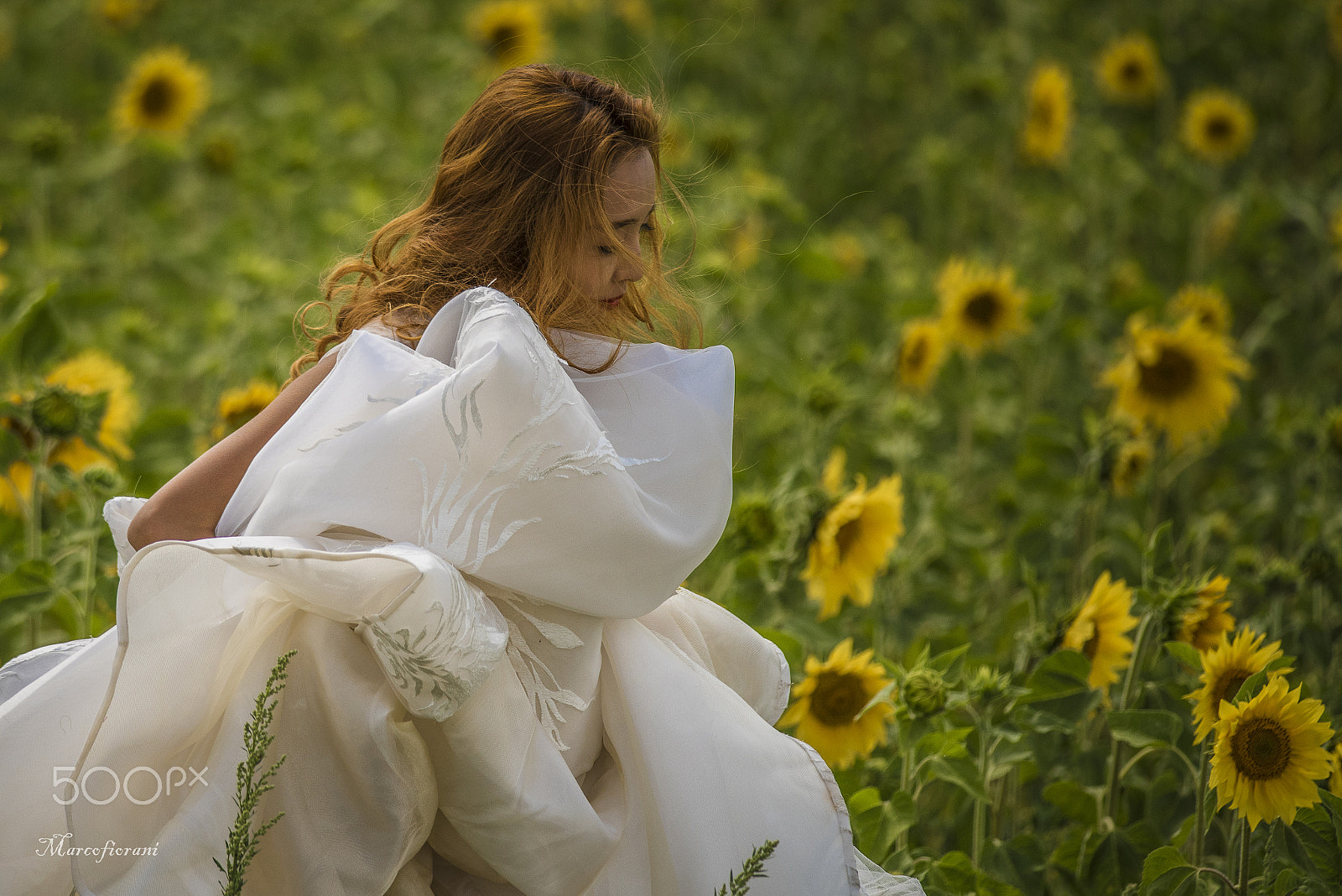 Nikon D810 + Nikon AF-S Nikkor 300mm F4D ED-IF sample photo. Sunflower's girl photography