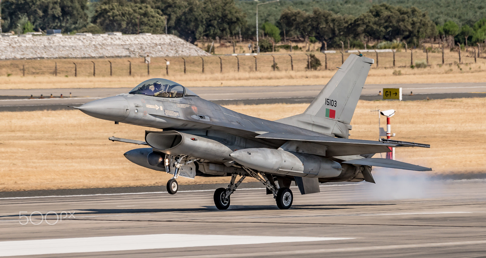 Sigma 120-400mm F4.5-5.6 DG OS HSM sample photo. Fap f-16 mlu (15103) photography