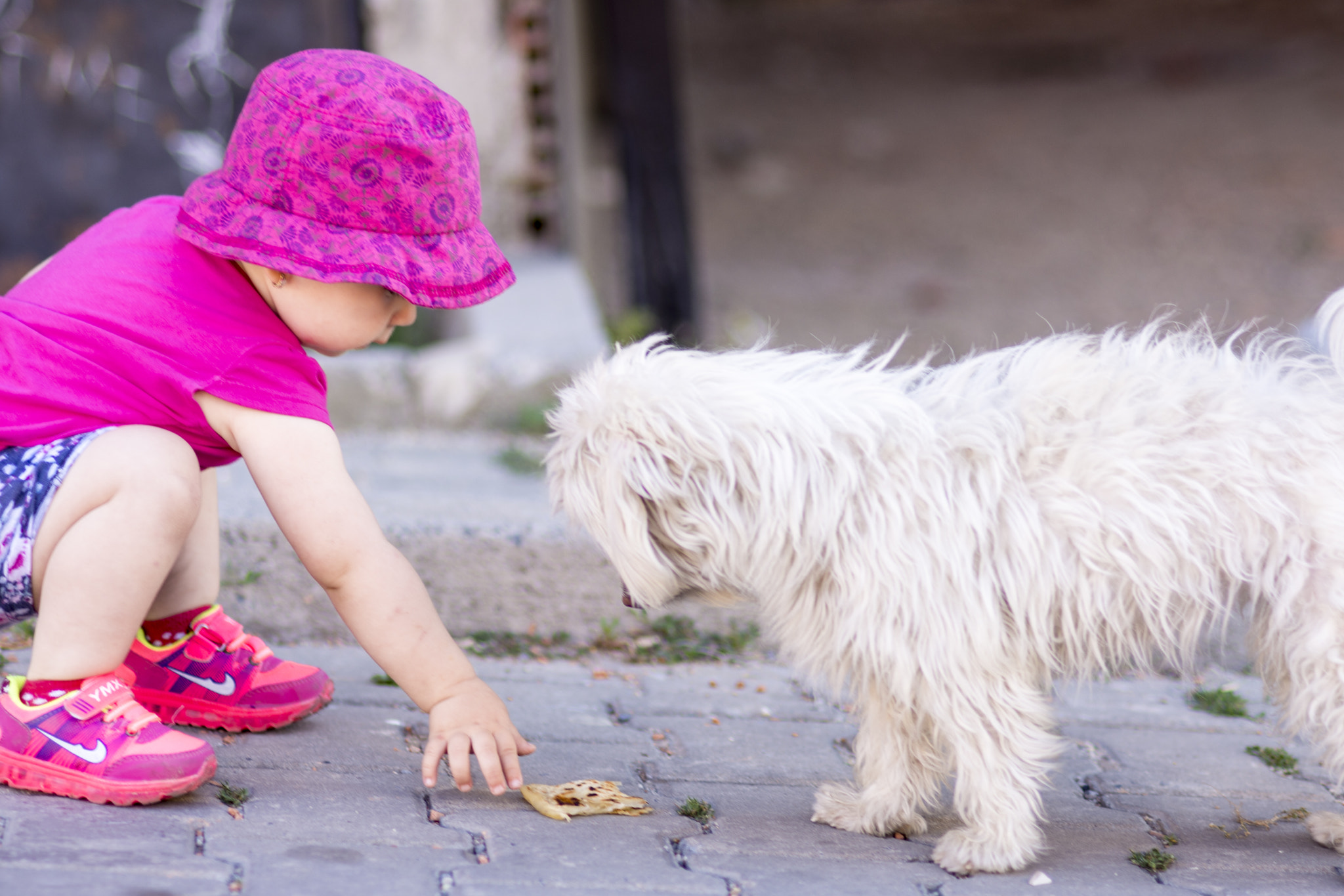 Nikon AF Nikkor 85mm F1.8D sample photo. Ceren & lucy :) photography