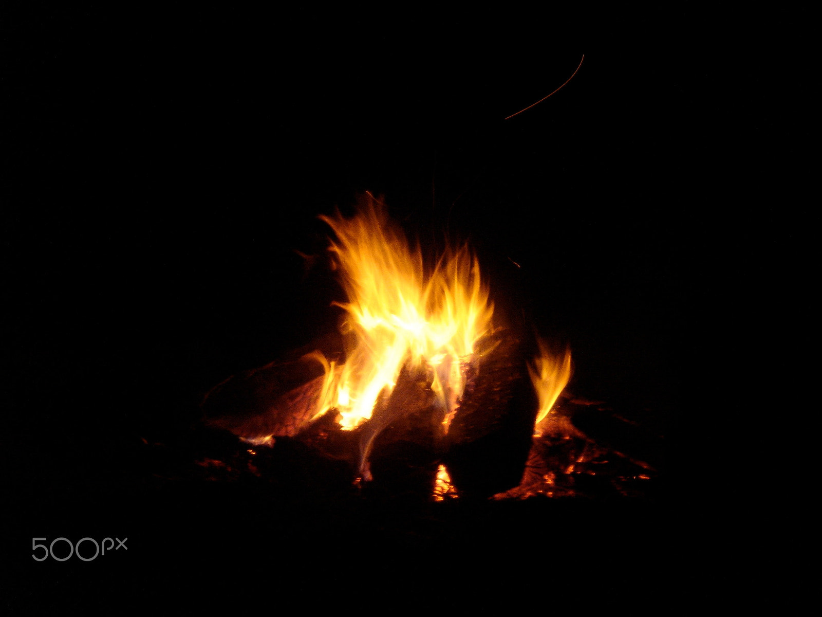 Sony DSC-F88 sample photo. Warming by the fire photography