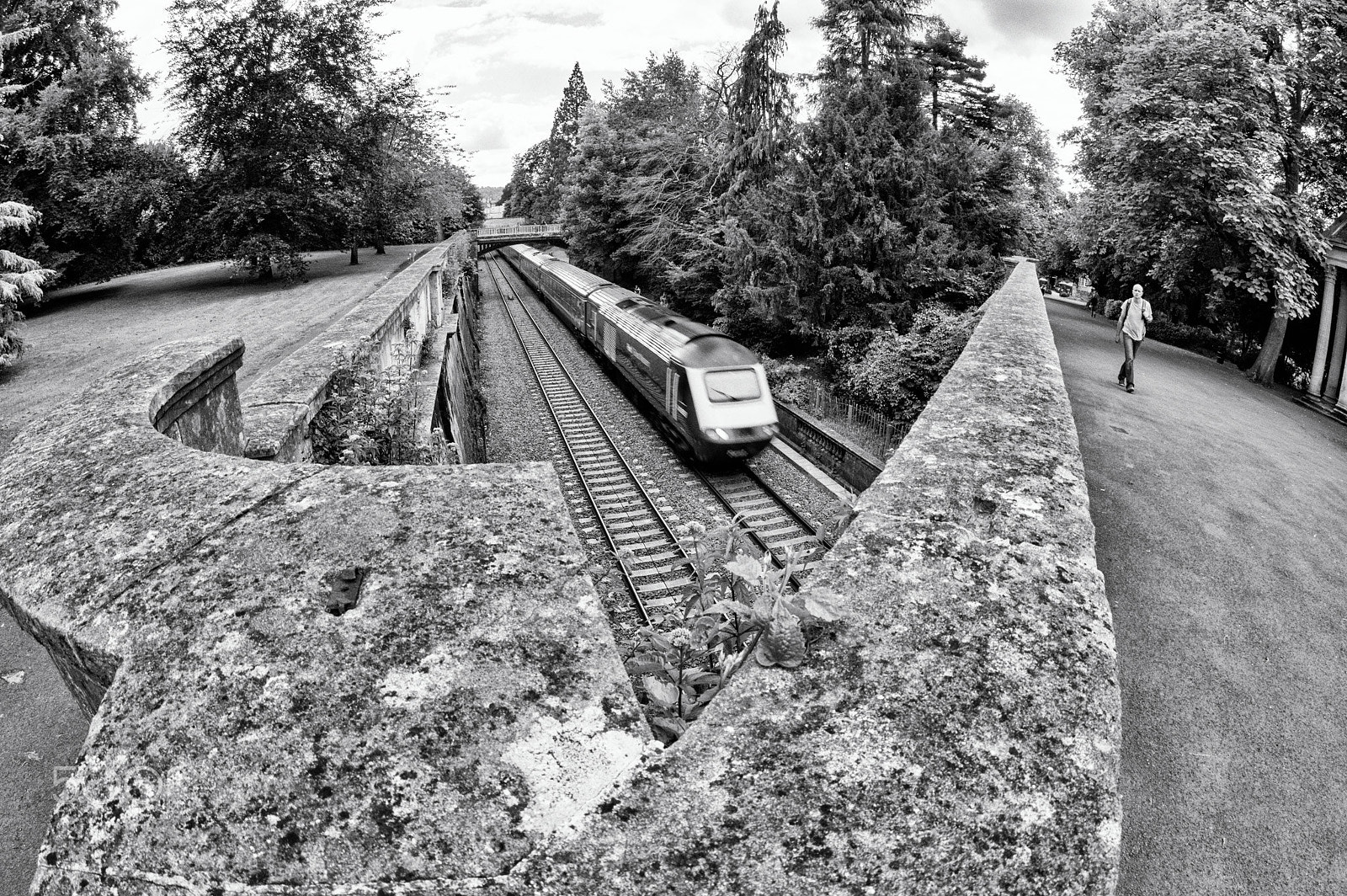 Pentax K-3 II sample photo. Sydney gardens photography