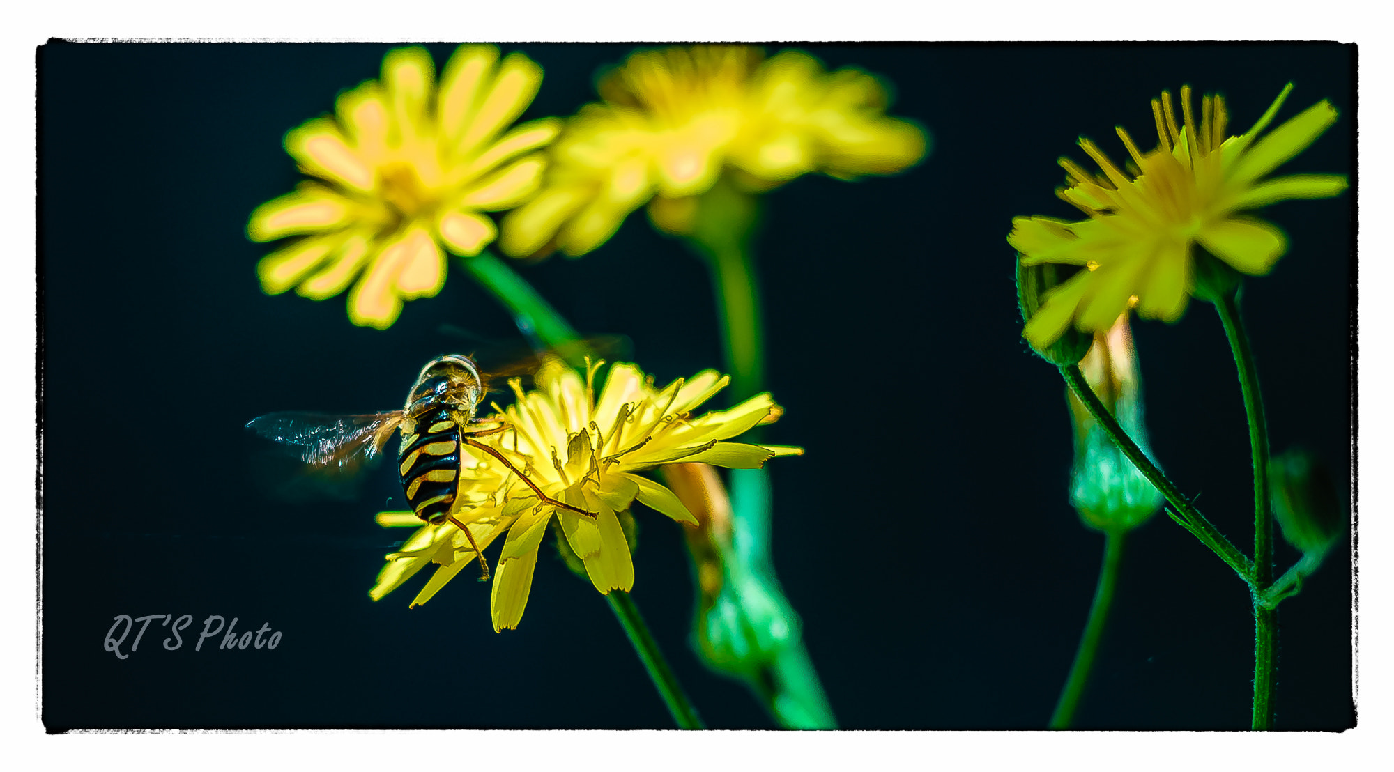 0mm F0 SAM sample photo. Copyright photography