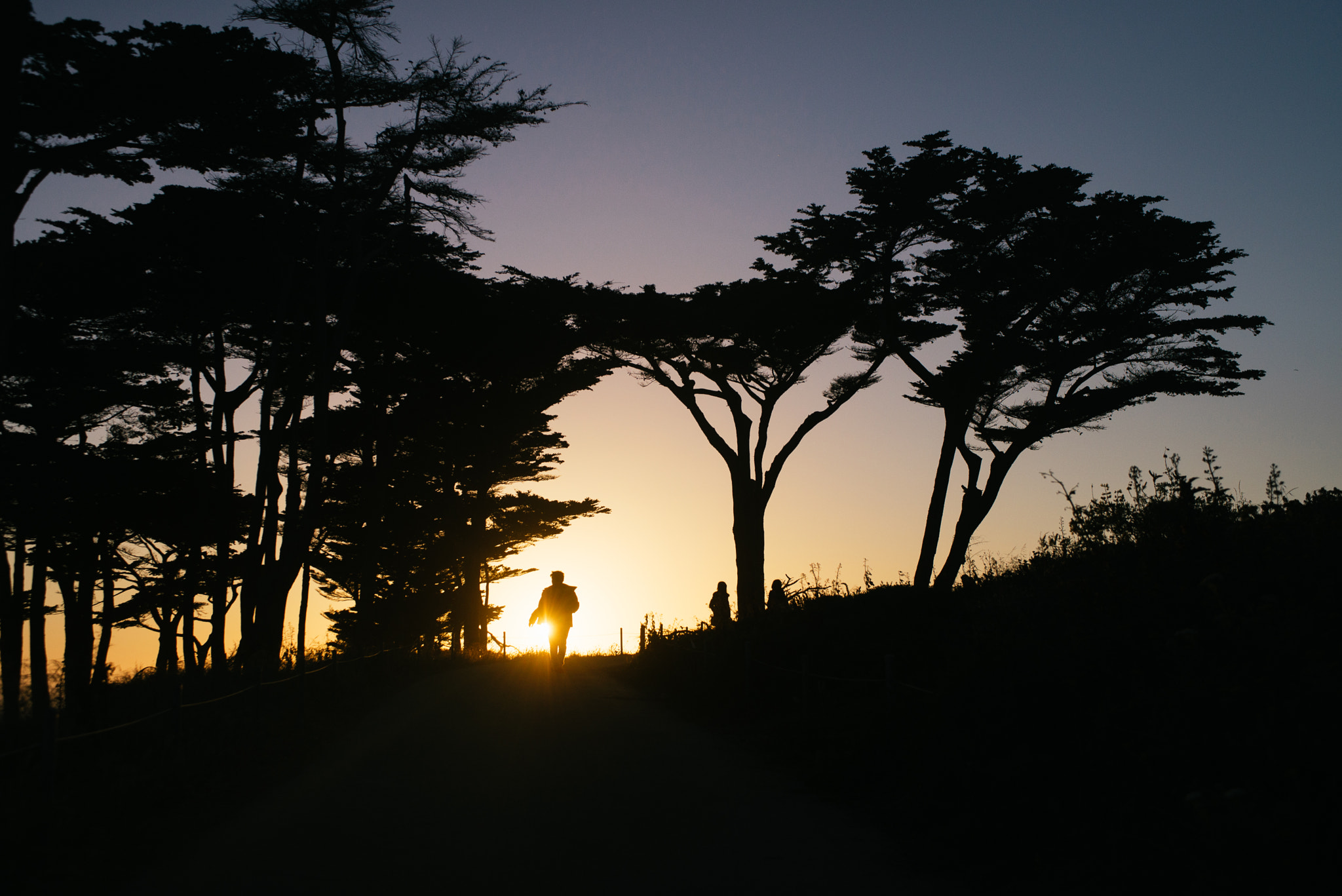 Nikon AF-S Nikkor 28-70mm F2.8 ED-IF sample photo. Point lobos at sunset photography