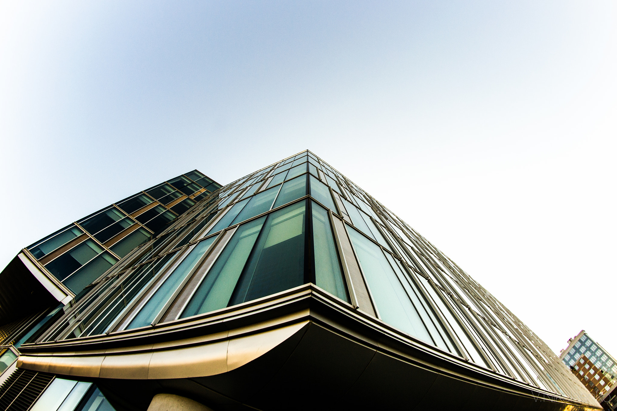 Samyang 8mm F3.5 Aspherical IF MC Fisheye sample photo. 1-//-1 photography