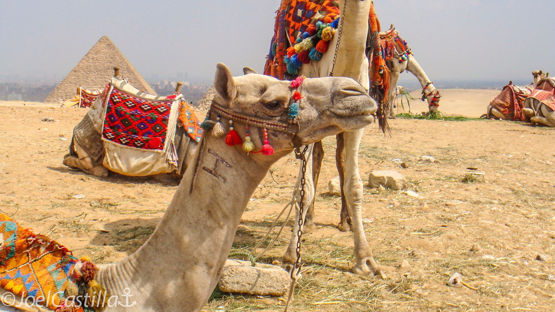 Sony DSC-T70 sample photo. Egypt pyramids!!! photography