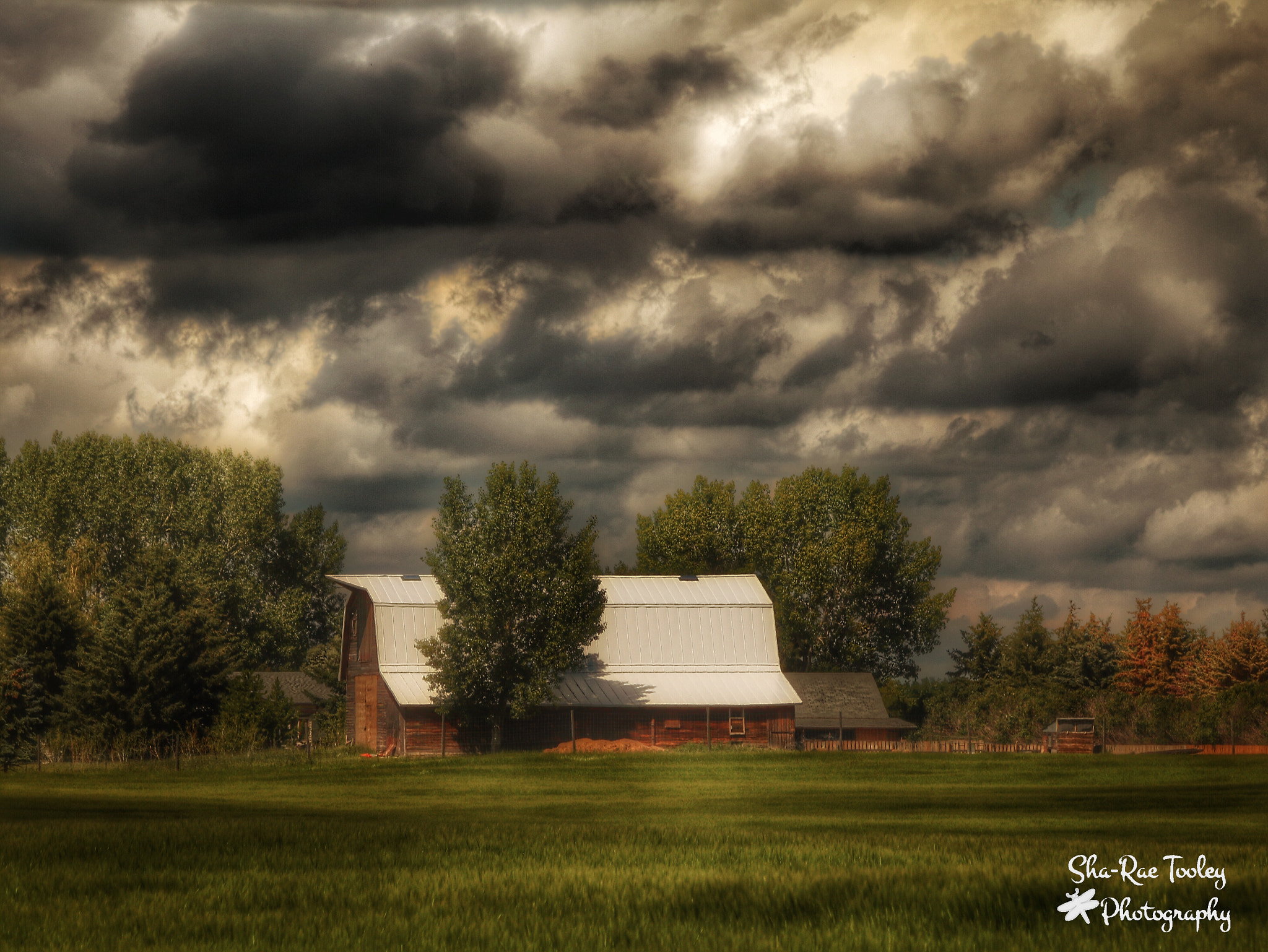 Canon EF 70-300mm F4-5.6 IS USM sample photo. Storm brewing photography