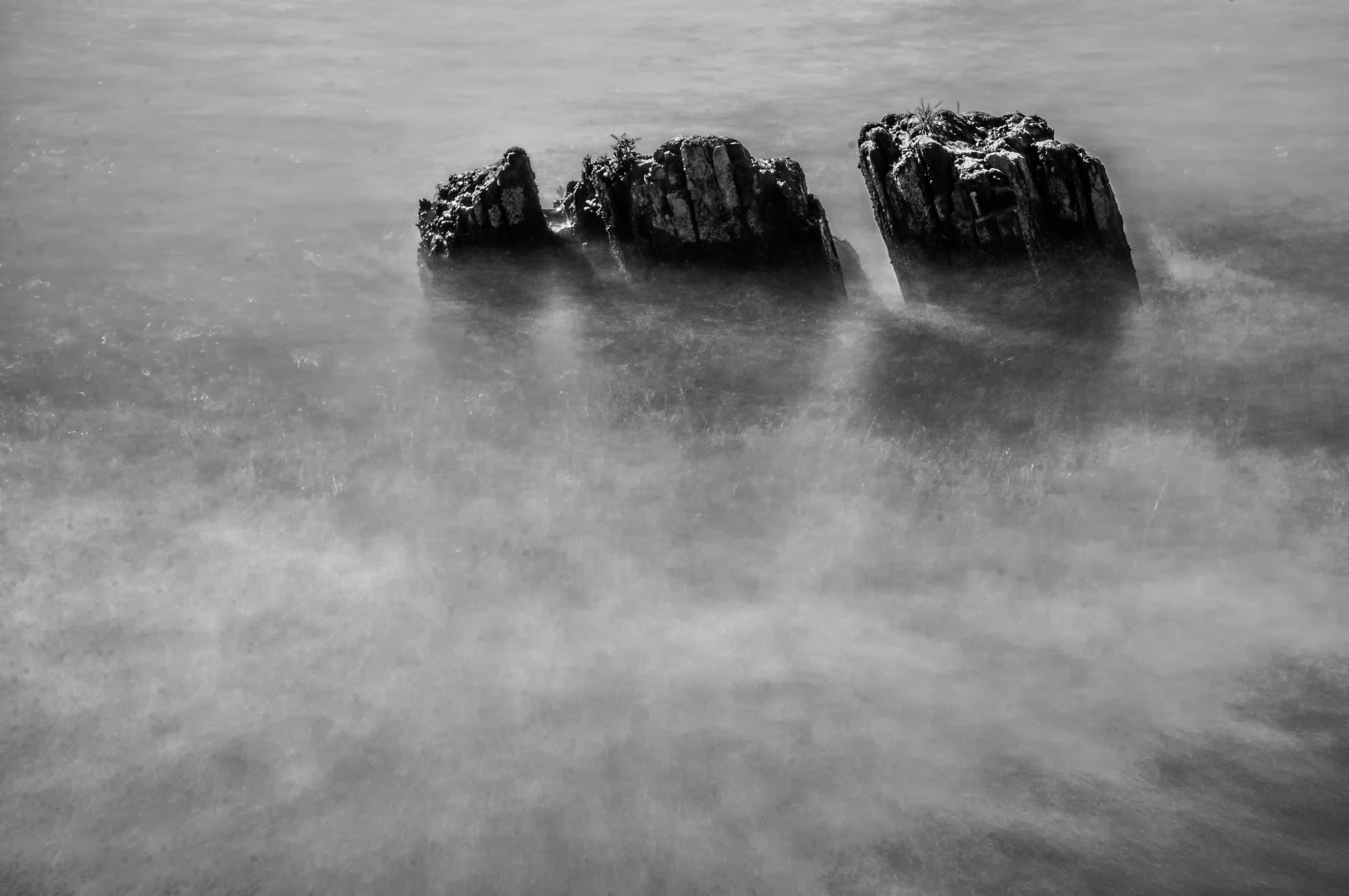 Nikon D300S sample photo. Posts in the water photography