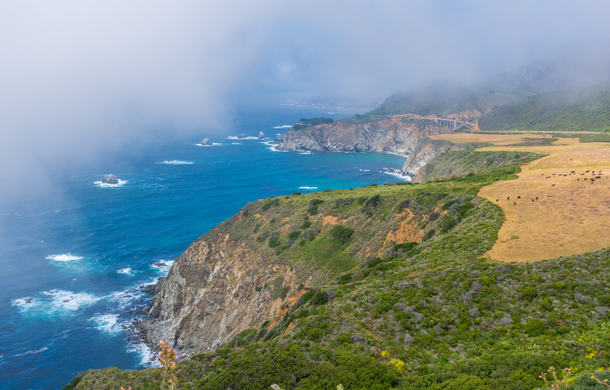 Sony a6300 + Sony Sonnar T* E 24mm F1.8 ZA sample photo. Pacific coast photography