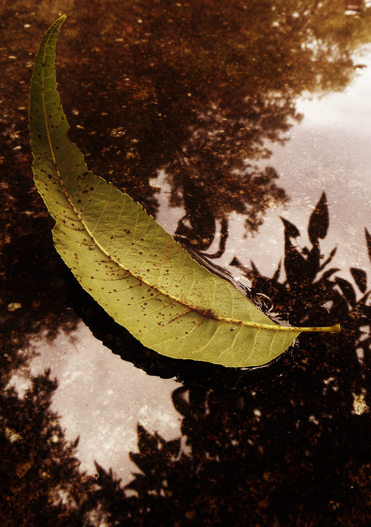 Samsung WB200F/WB201F/WB202F sample photo. Southern storm photography