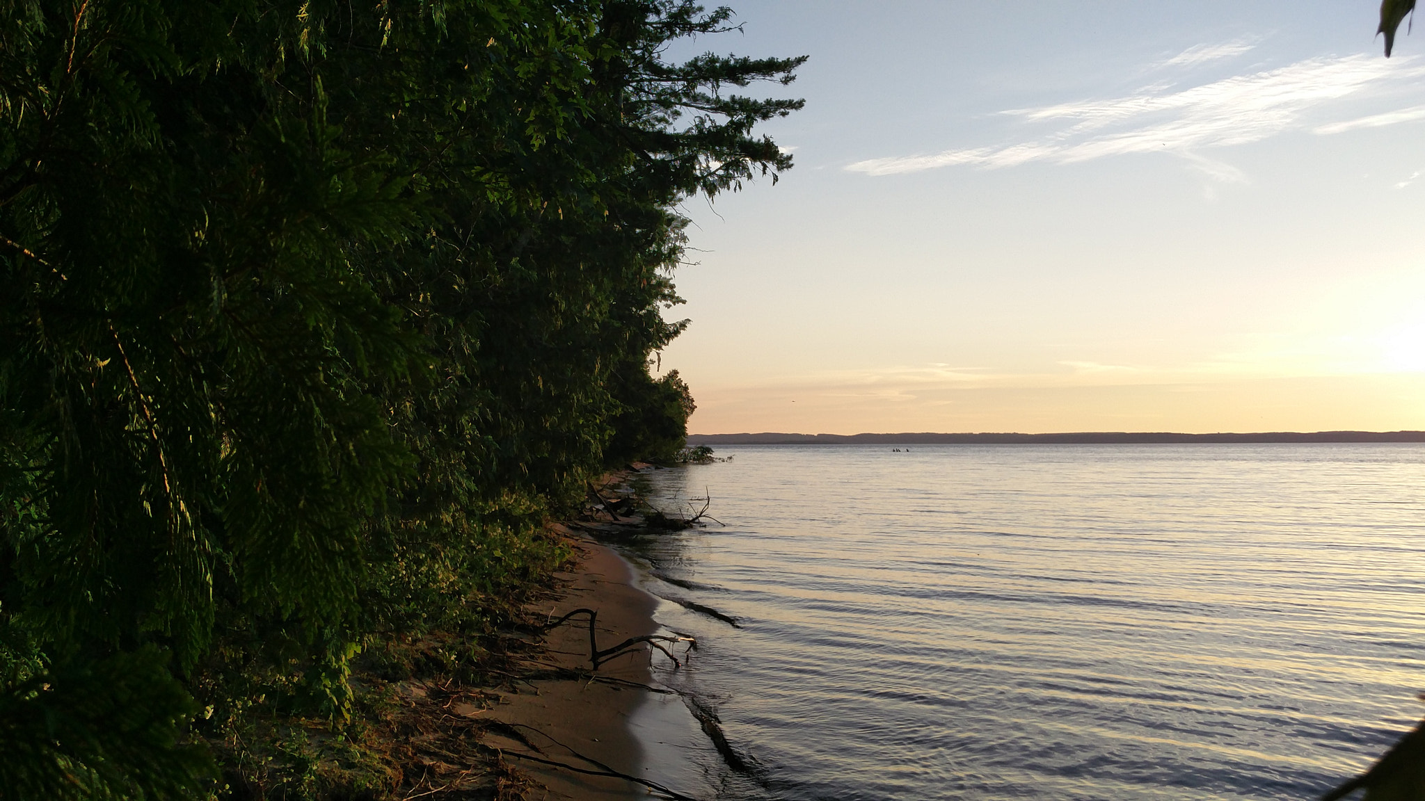 OnePlus ONE A2005 sample photo. Beach and forest of old mission light house photography