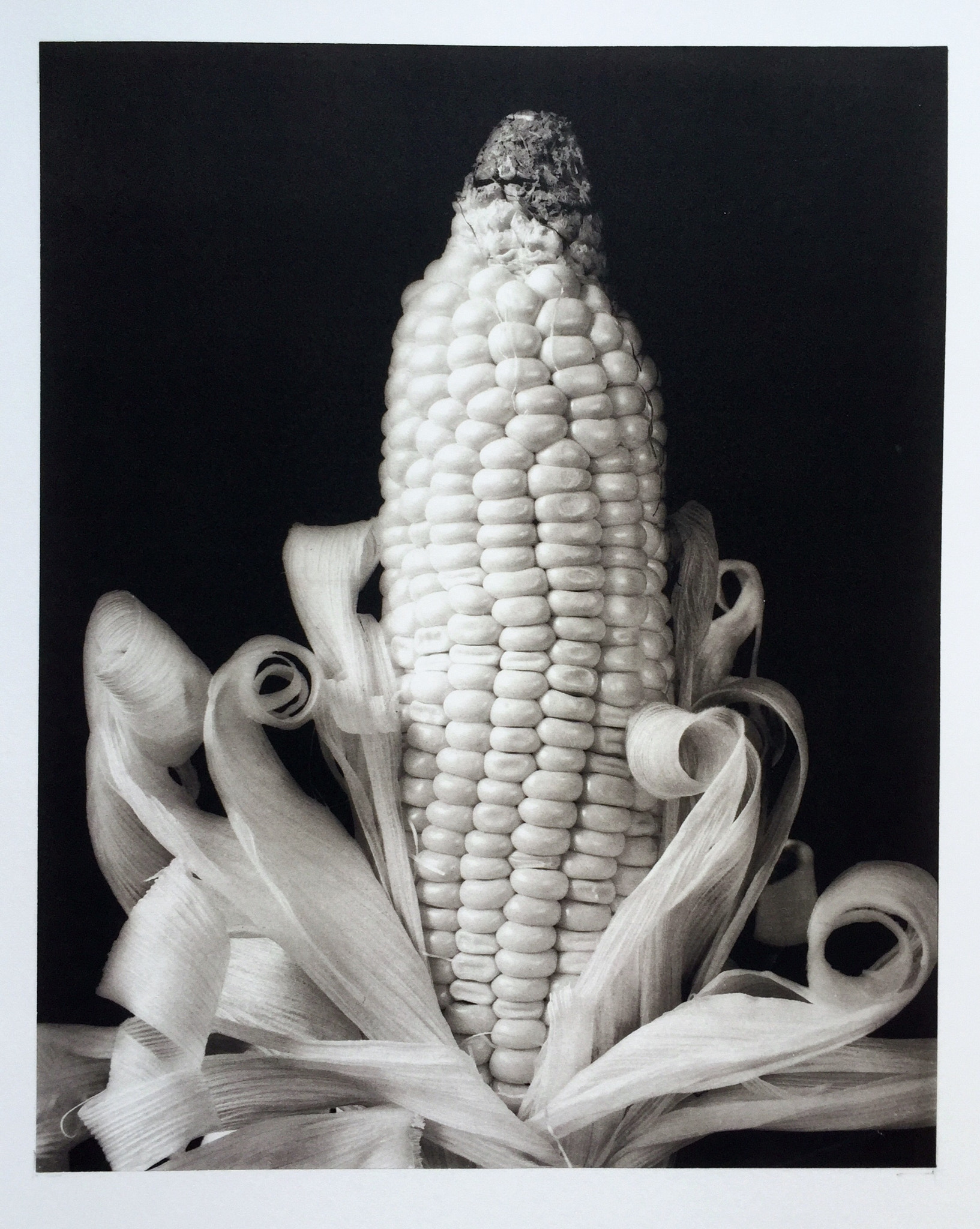 Jag.gr 645 PRO Mk III for Apple iPhone 6 sample photo. 《pearl rice》by ilford delta100 45film,platinotype. photography