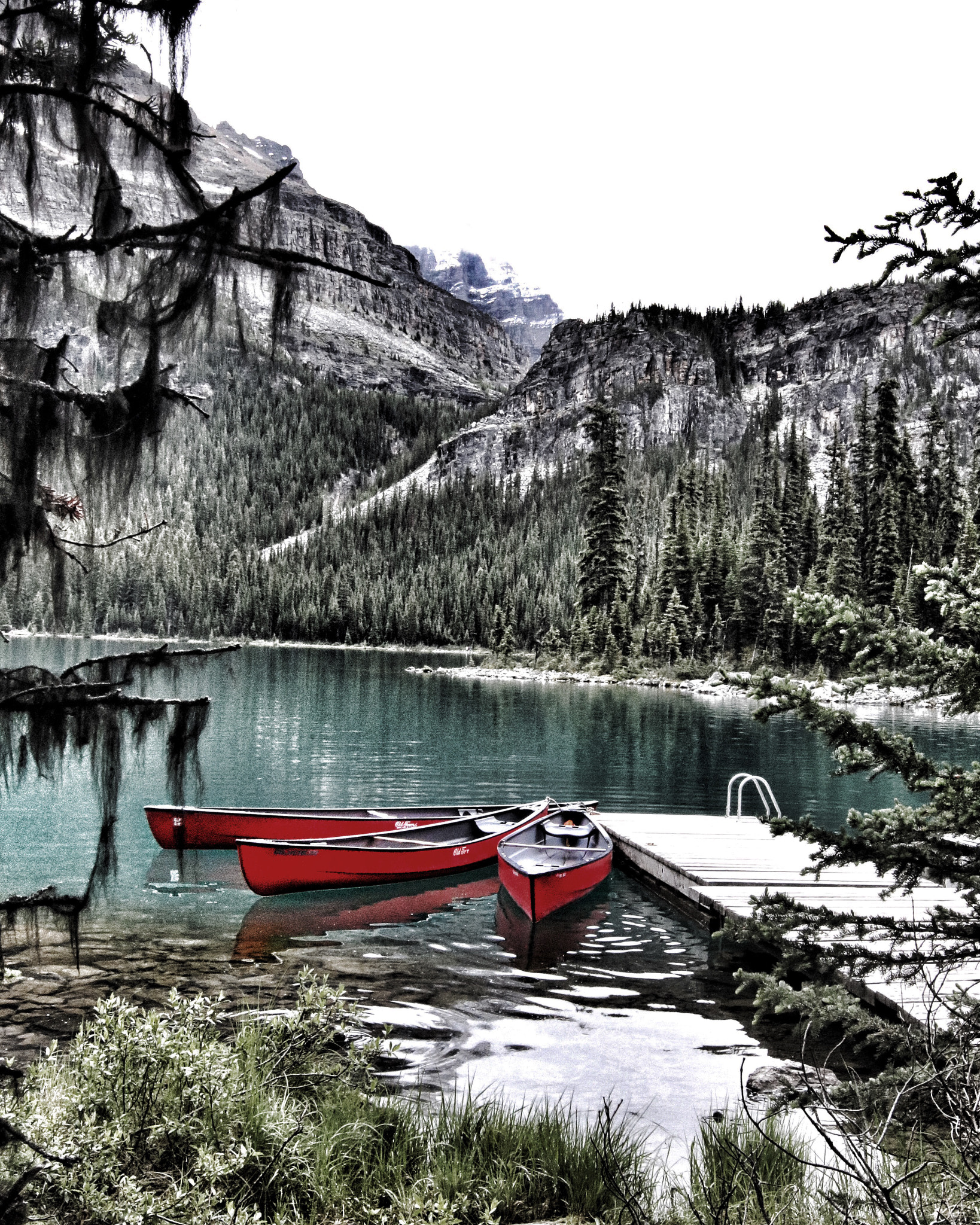 Canon EOS 760D (EOS Rebel T6s / EOS 8000D) + Canon 11-20mm sample photo. Lake o'hara photography