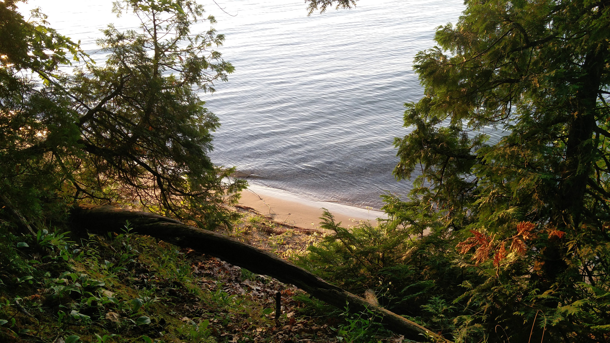 OnePlus ONE A2005 sample photo. Path to the beach at old mission light house, mi photography