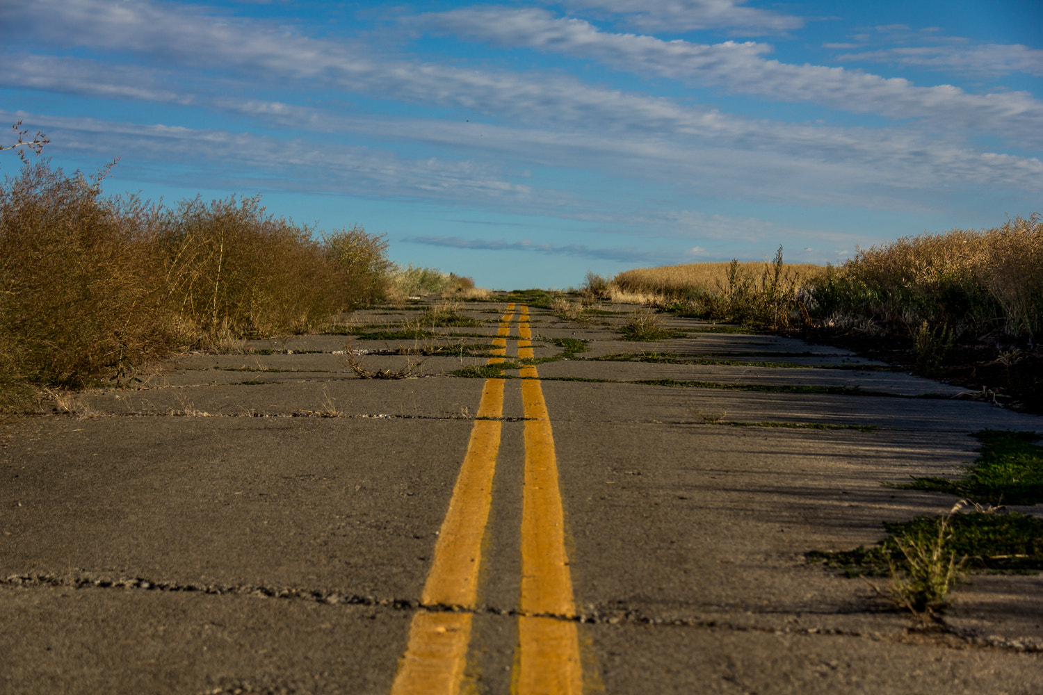 Canon EOS 550D (EOS Rebel T2i / EOS Kiss X4) sample photo. Road to nowhere photography