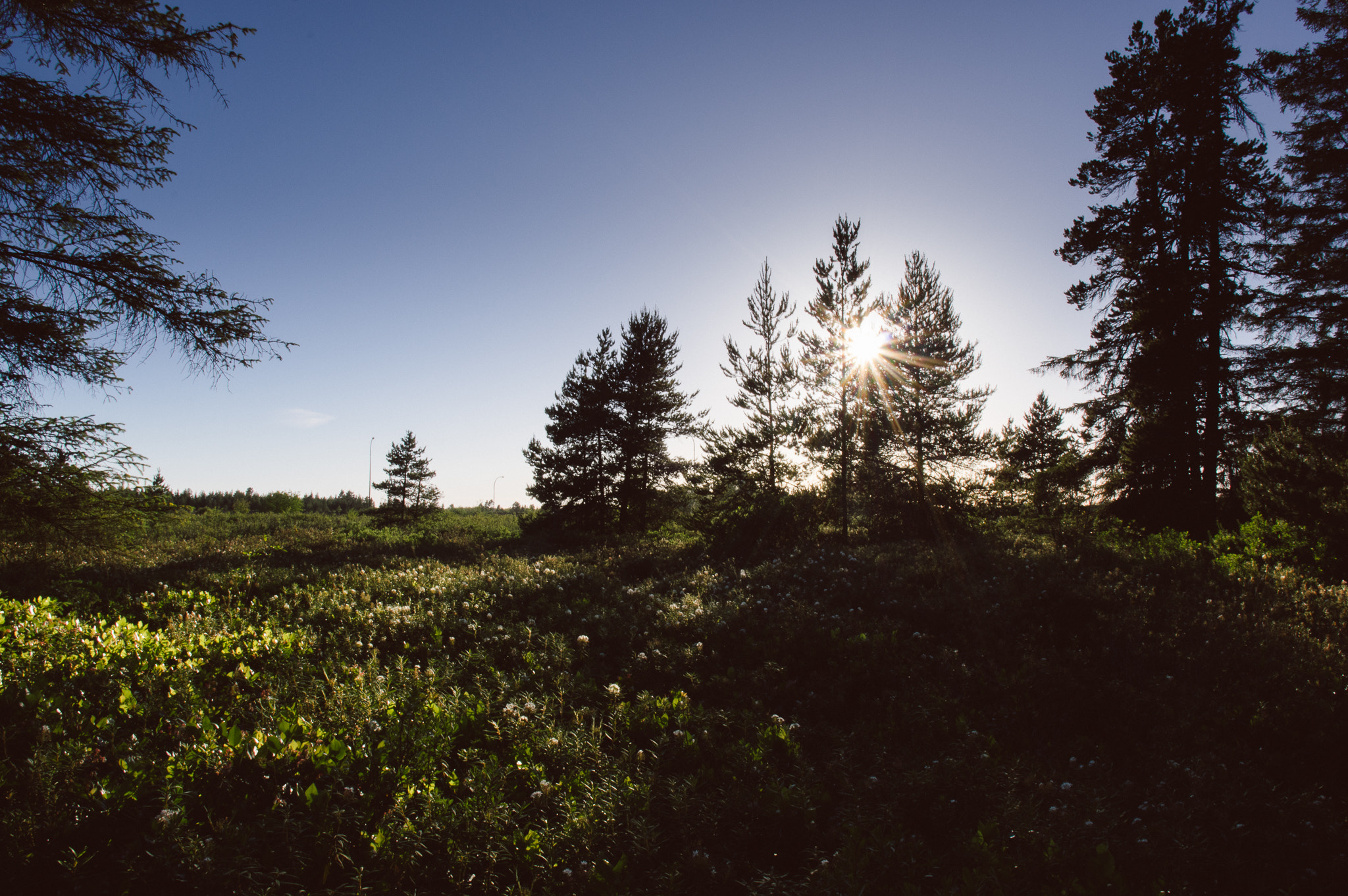 Pentax K-3 + HD Pentax DA 15mm F4 ED AL Limited sample photo. Summer sky photography