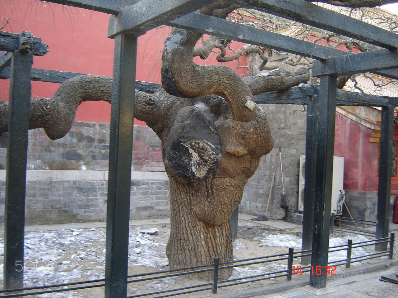 Sony DSC-S60 sample photo. Forbidden city o photography