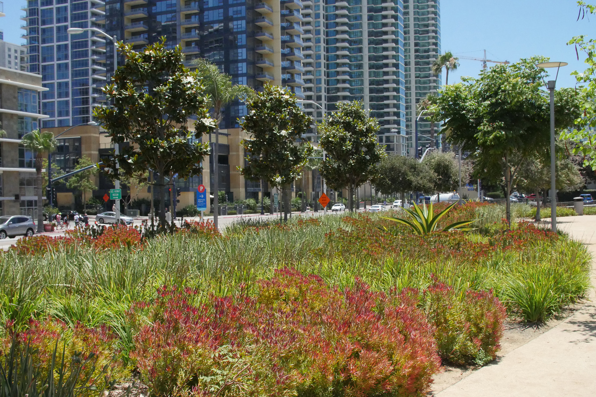 Canon EF 24-105mm F4L IS USM sample photo. Waterfront park playground gardens photography