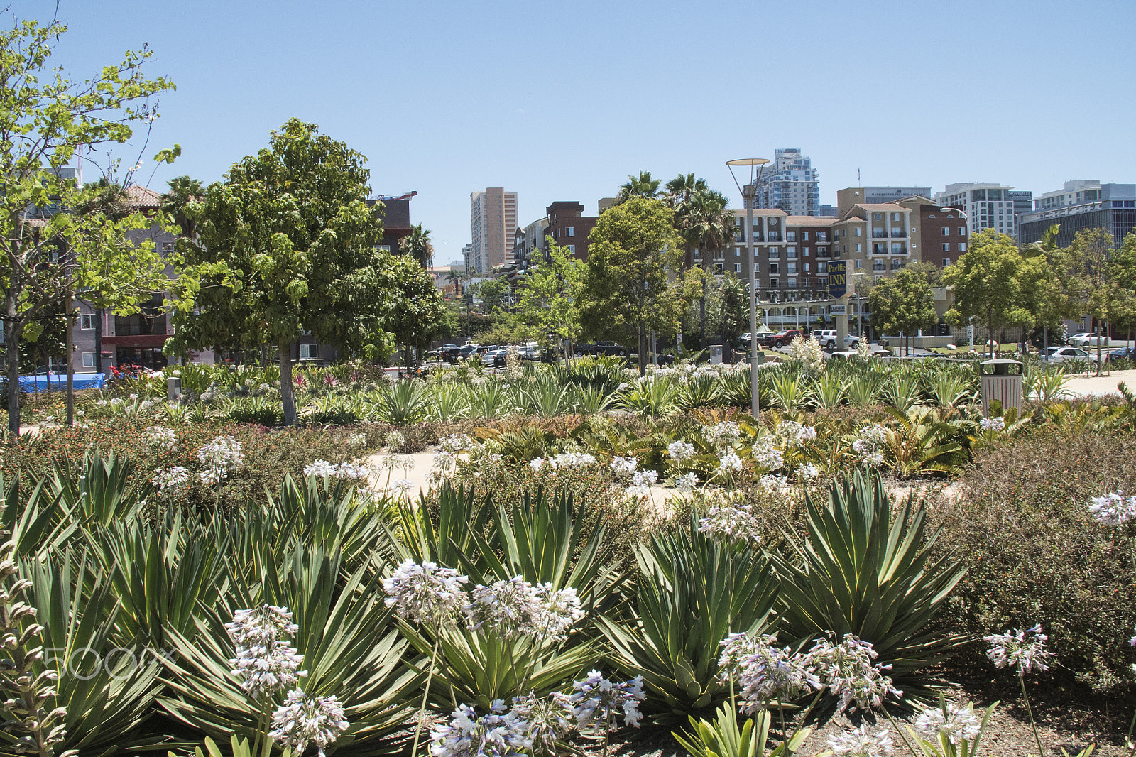 Canon EF 24-105mm F4L IS USM sample photo. Waterfront park diversity garden photography