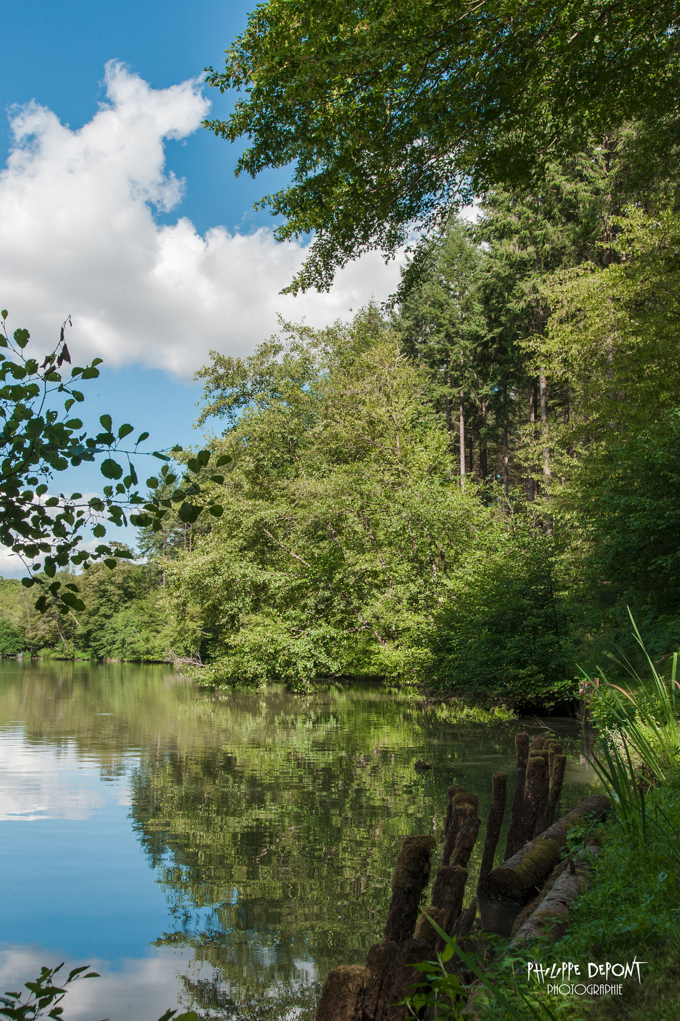 Nikon D3 + Sigma 24-105mm F4 DG OS HSM Art sample photo. A quiet lake philippe depont photography