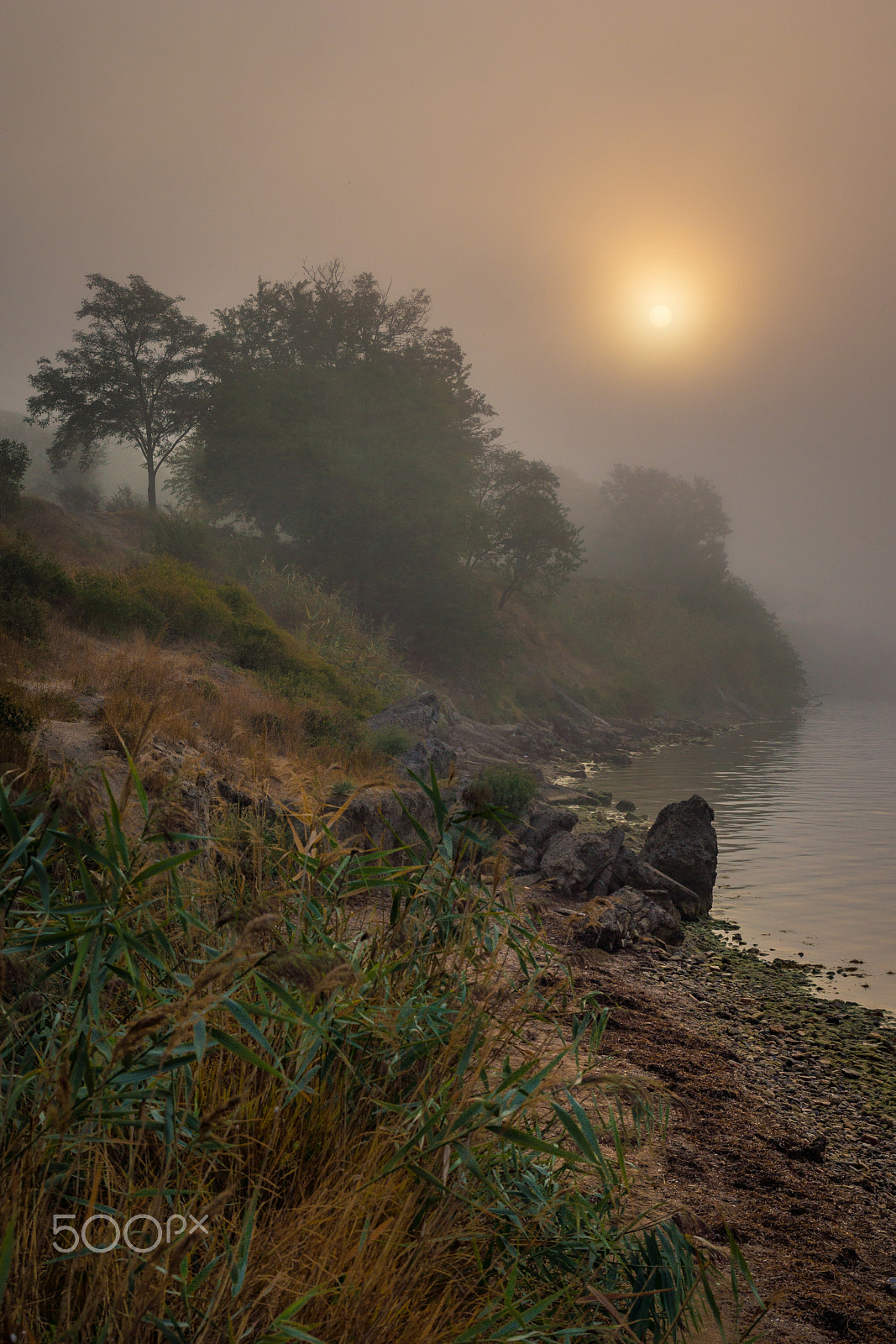 Sony SLT-A77 sample photo. Fog 3 photography