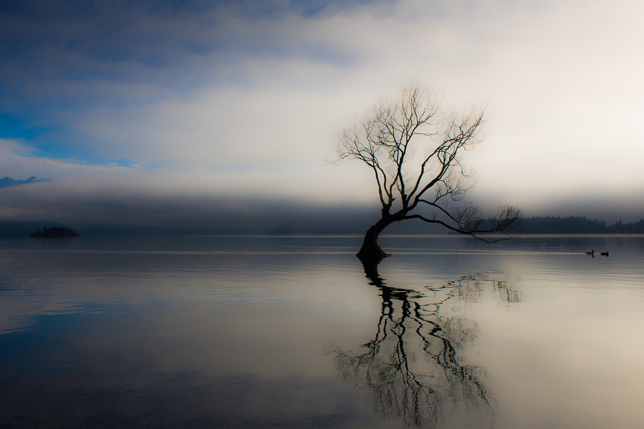 Canon EOS 100D (EOS Rebel SL1 / EOS Kiss X7) sample photo. That wanaka tree photography