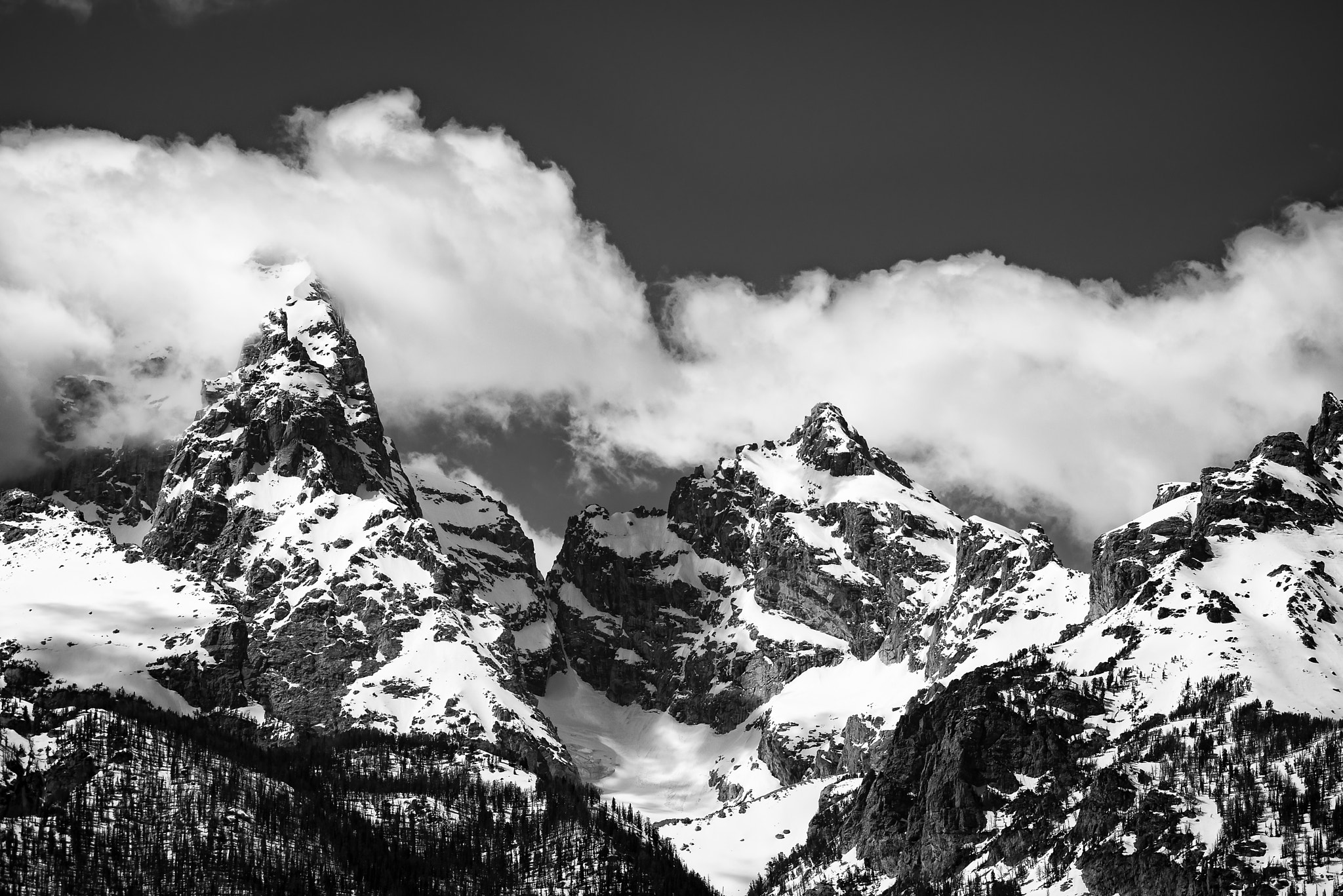 Sigma APO 100-300mm F4 EX IF HSM + 1.4x sample photo. Grand teton photography