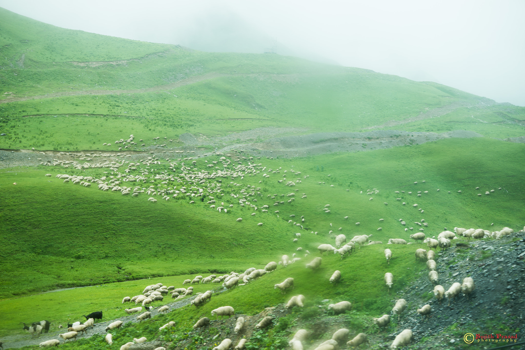 Nikon AF-S Nikkor 24-70mm F2.8E ED VR sample photo. Kazbegi photography